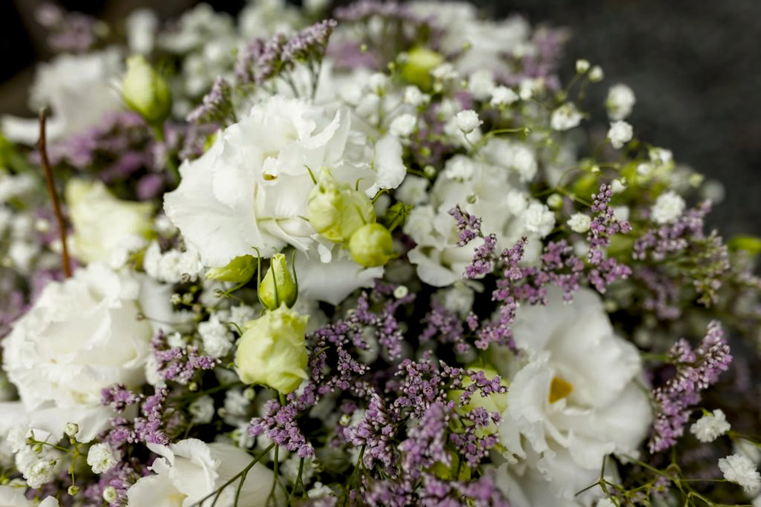 Nahaufnahme eines Blumenstraußes mit weißen und lilafarbenen Blumen.