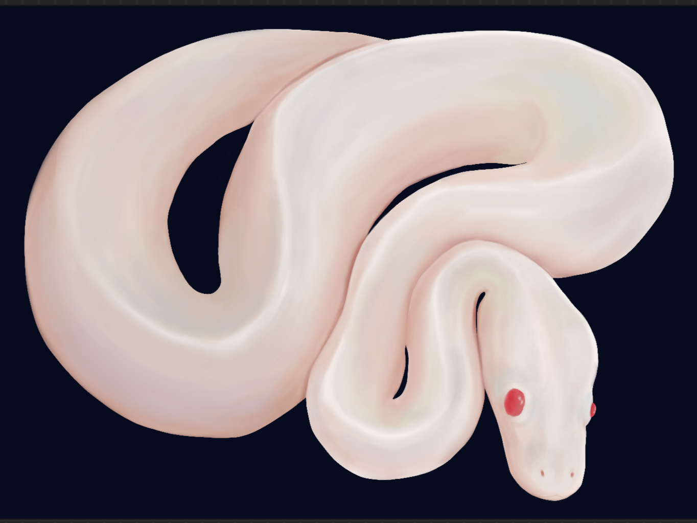 Pale in comparison - Limited numbered snake art print 8.5 x 11