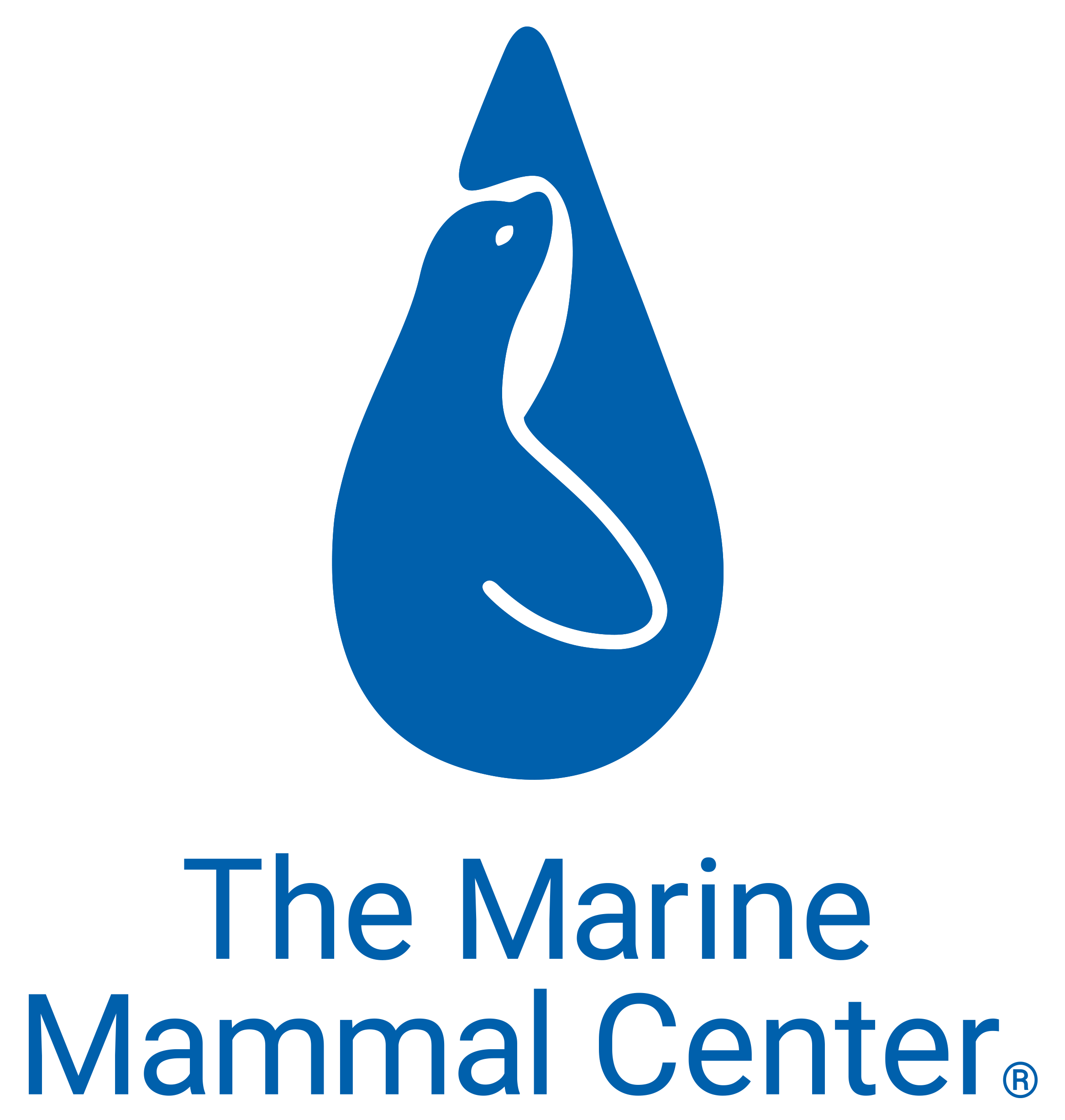 Logo of The Marine Mammal Center featuring a blue stylized dolphin and the organization name.