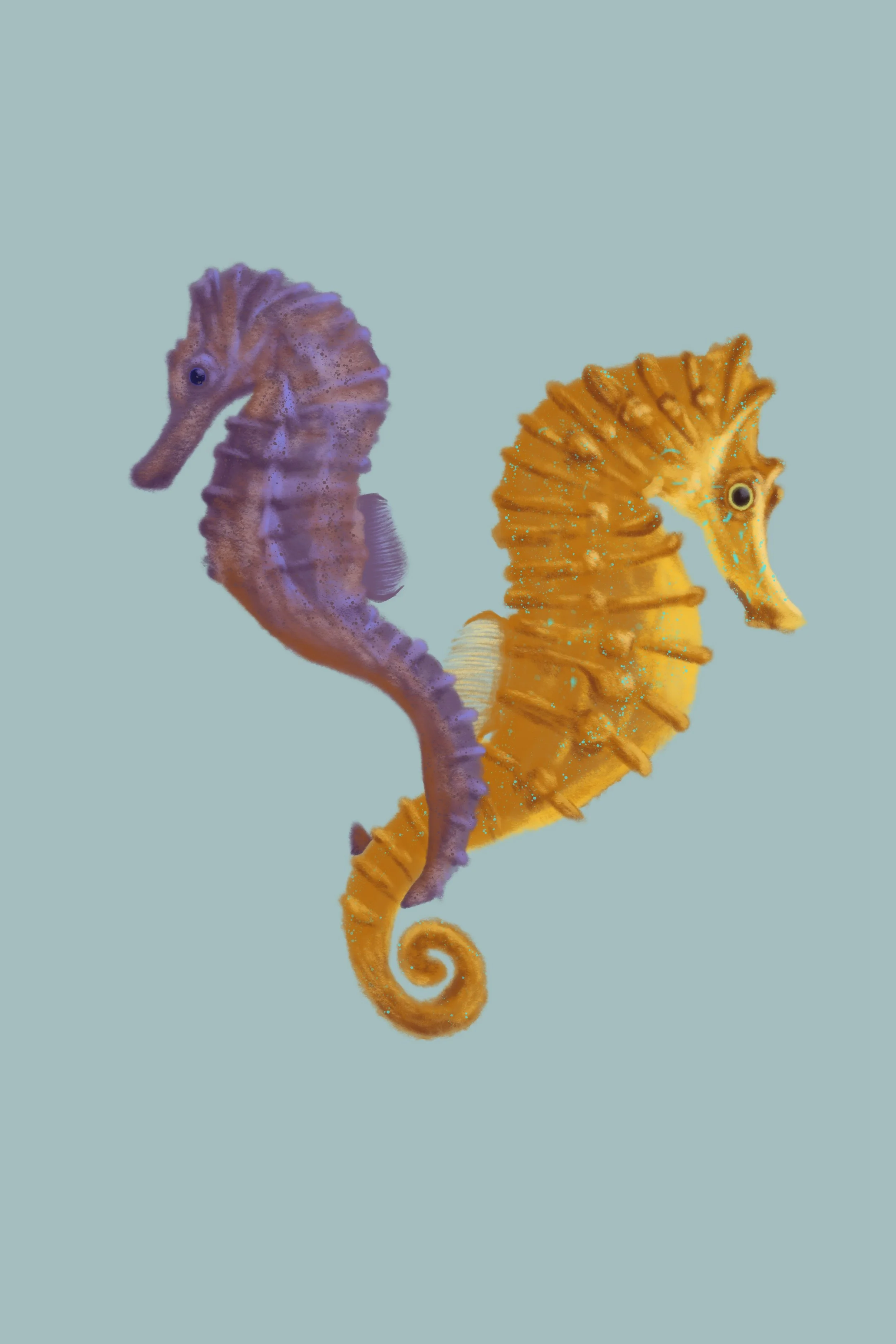 Tethered - Seahorse Pair