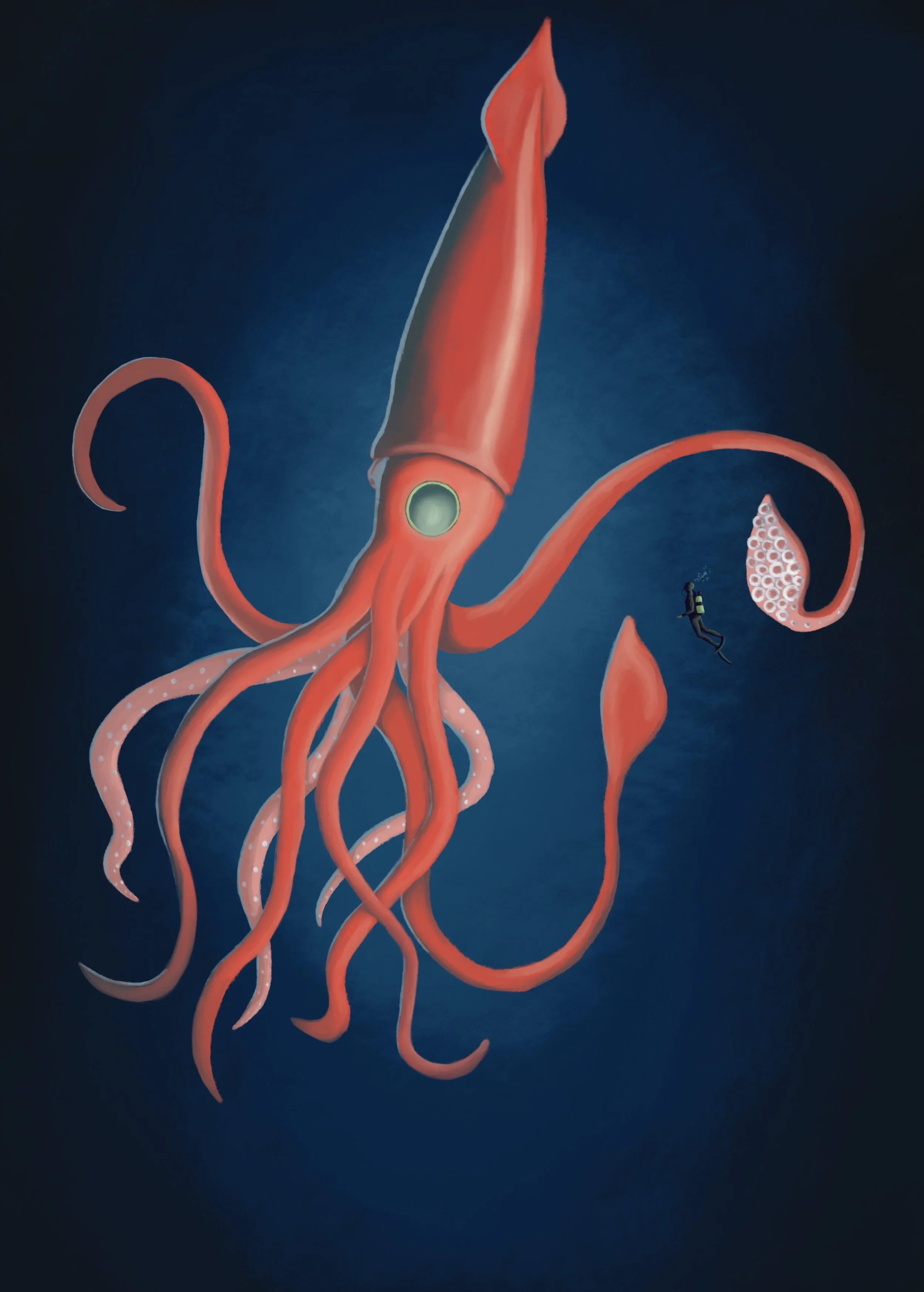 Eye to Eye - Giant Squid