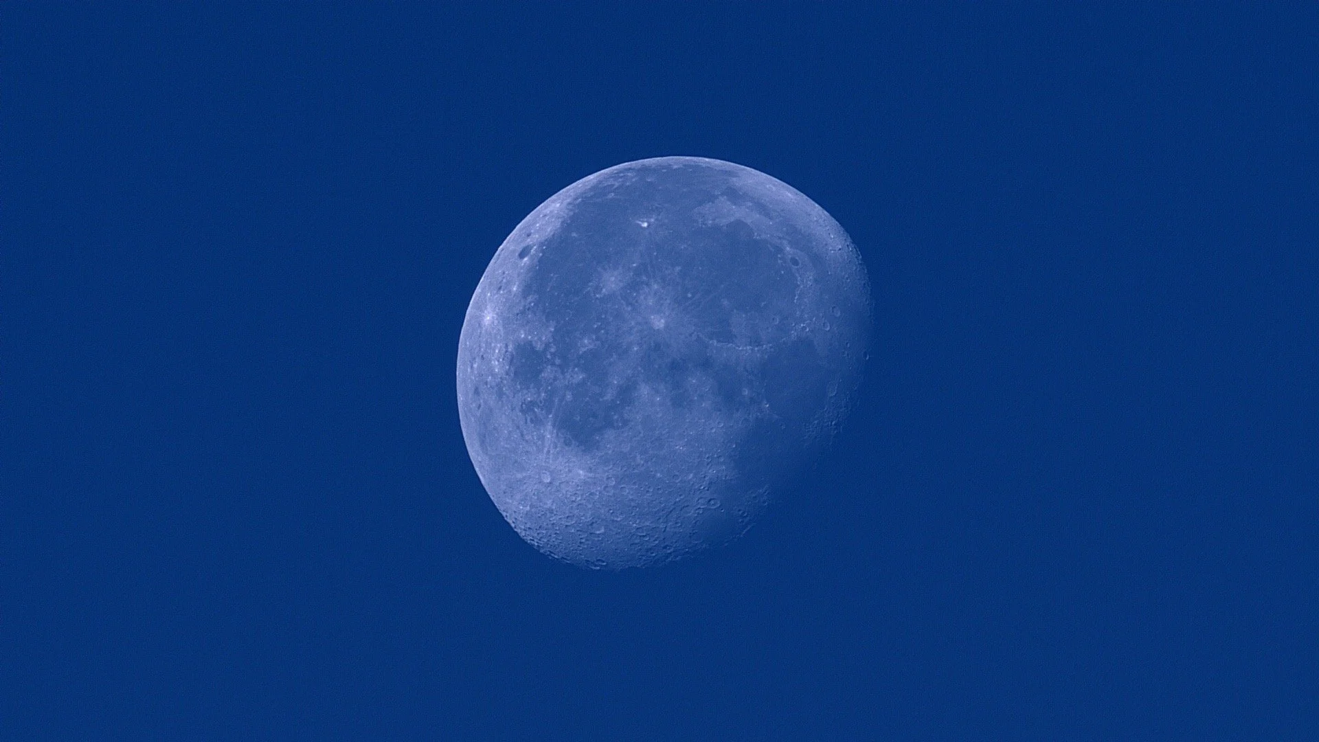 bright moon6_4n (1).JPG