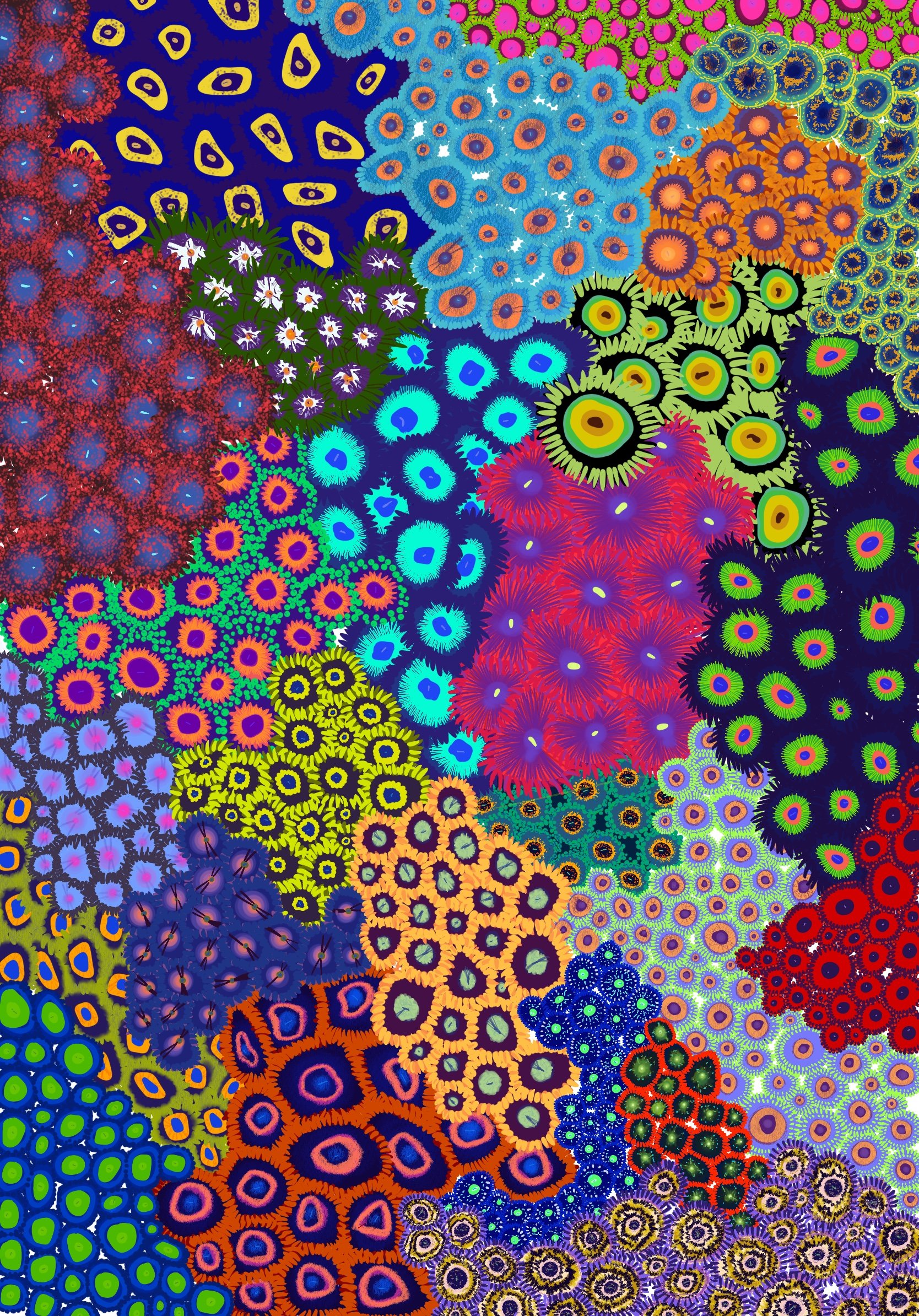 Zoa Garden - Zoanthids