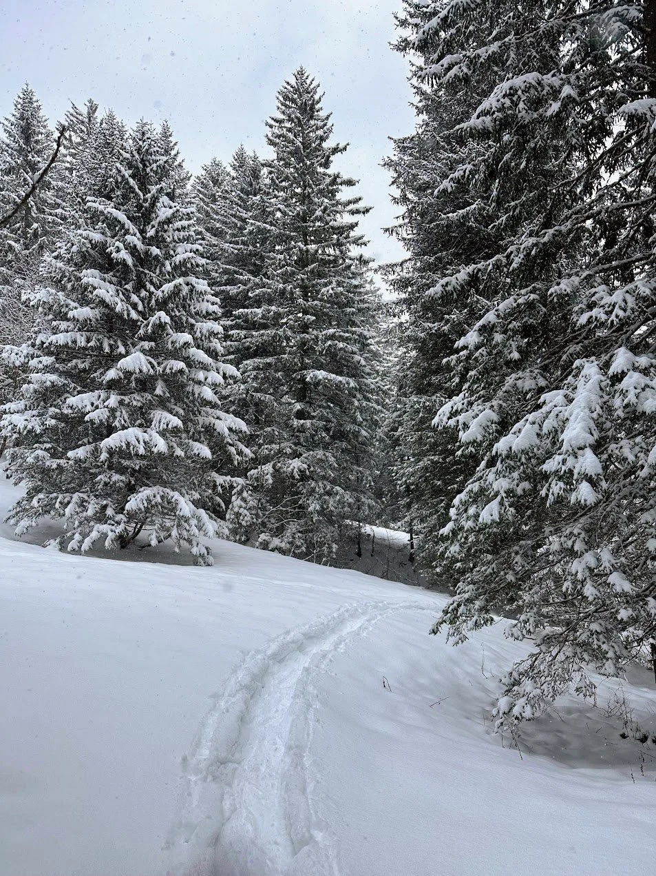 Logbook 2: Skihütte Obererbs