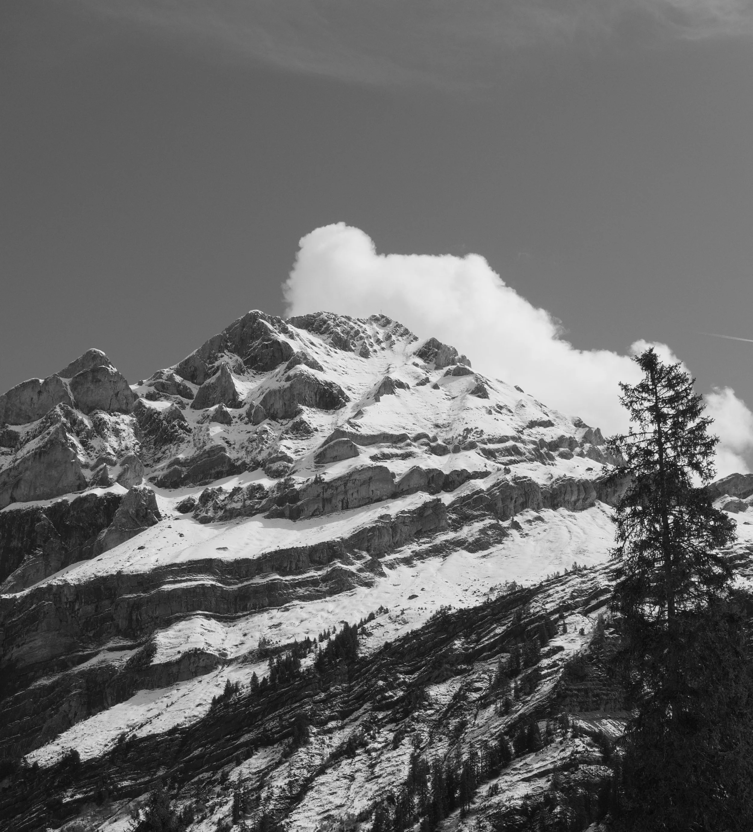 DSC01672.jpg