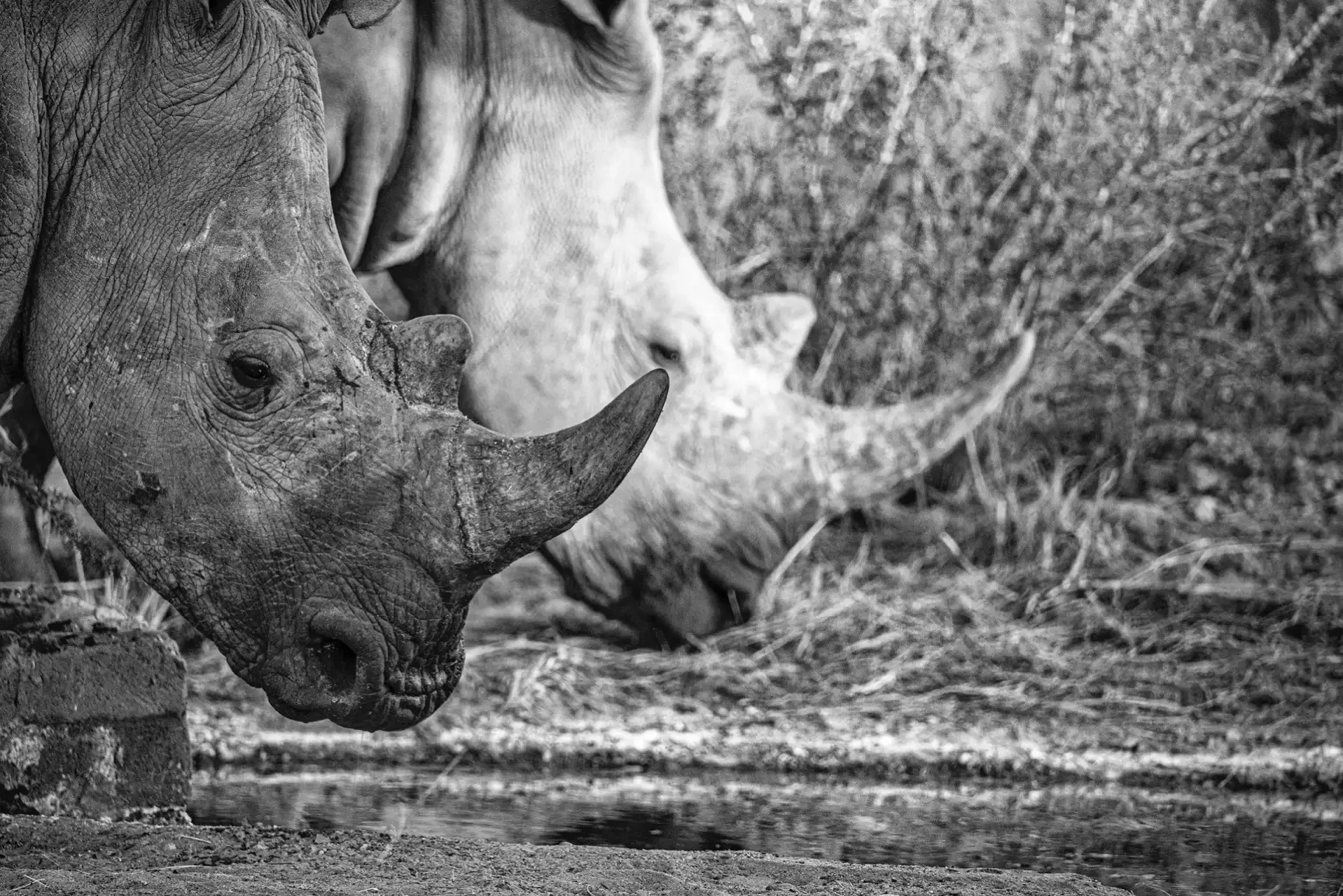Concorso IPA vincitrice Elisabetta Rosso con foto islanda spiaggia nera