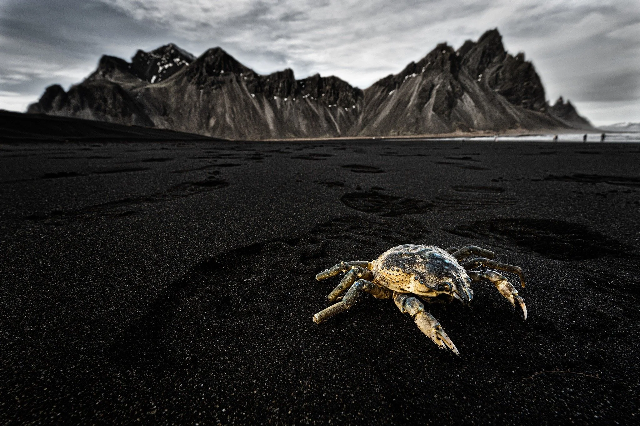 Concorso IPA vincitrice Elisabetta Rosso con foto islanda spiaggia nera