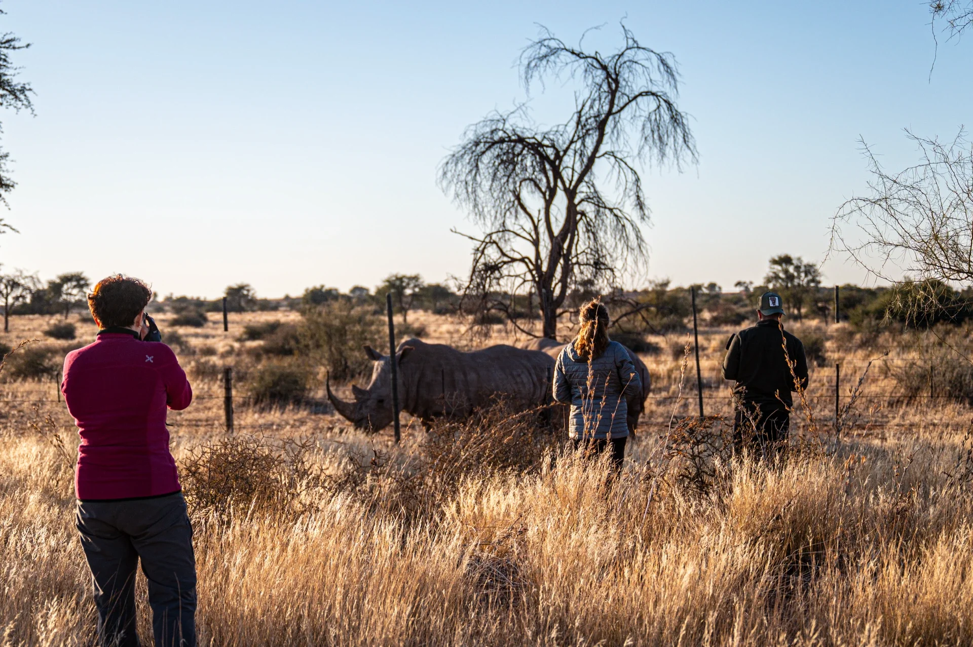 Fotografi con rinoceronte viaggio fotografico in Namibia