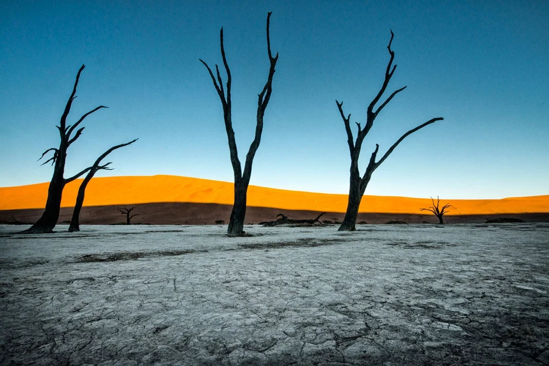 Alberi scheletrici di Deadvlei all'alba nel Namib