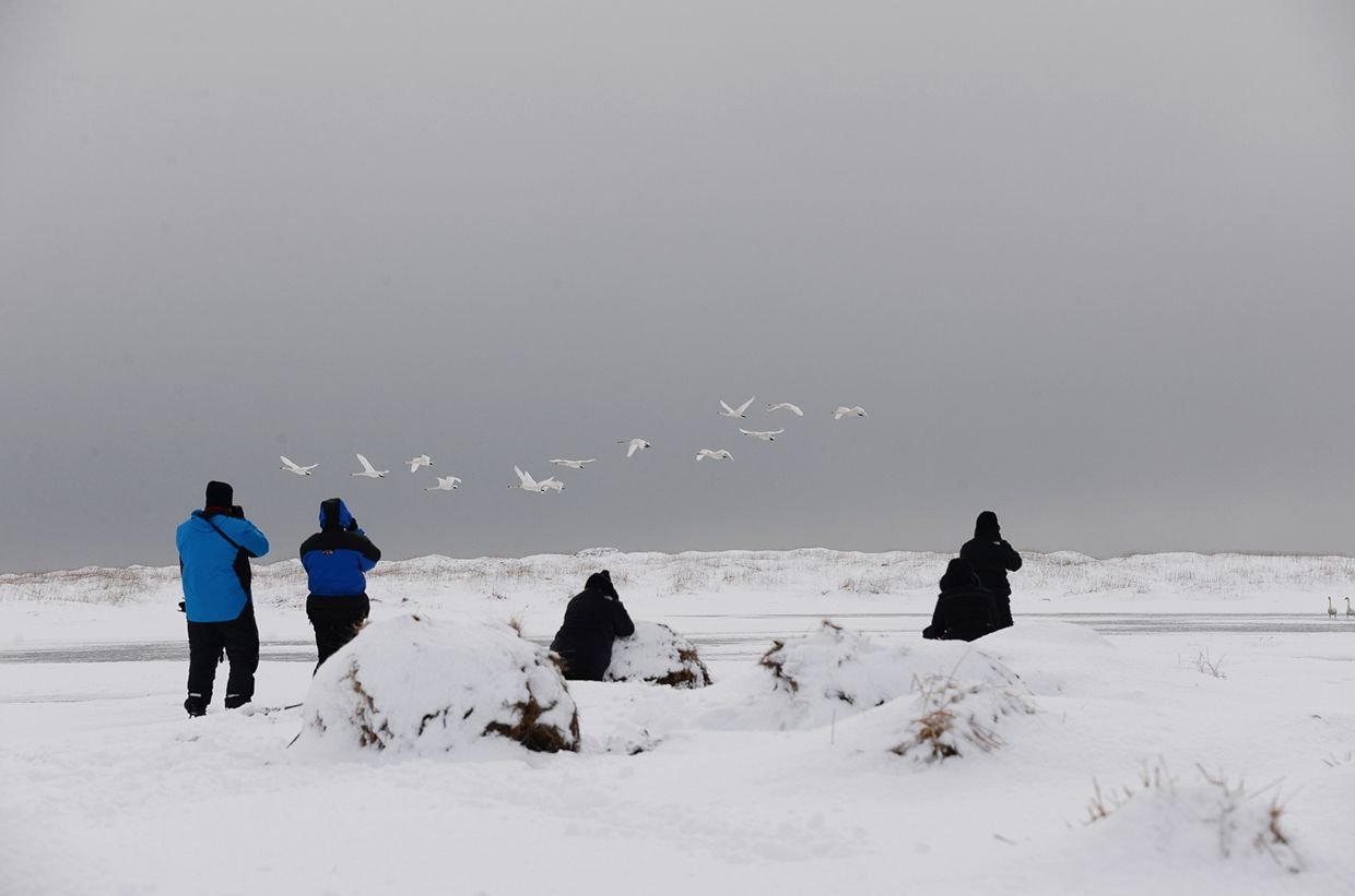 Persone di fronte a un paesaggio innevato con uccelli che volano nel cielo grigio
