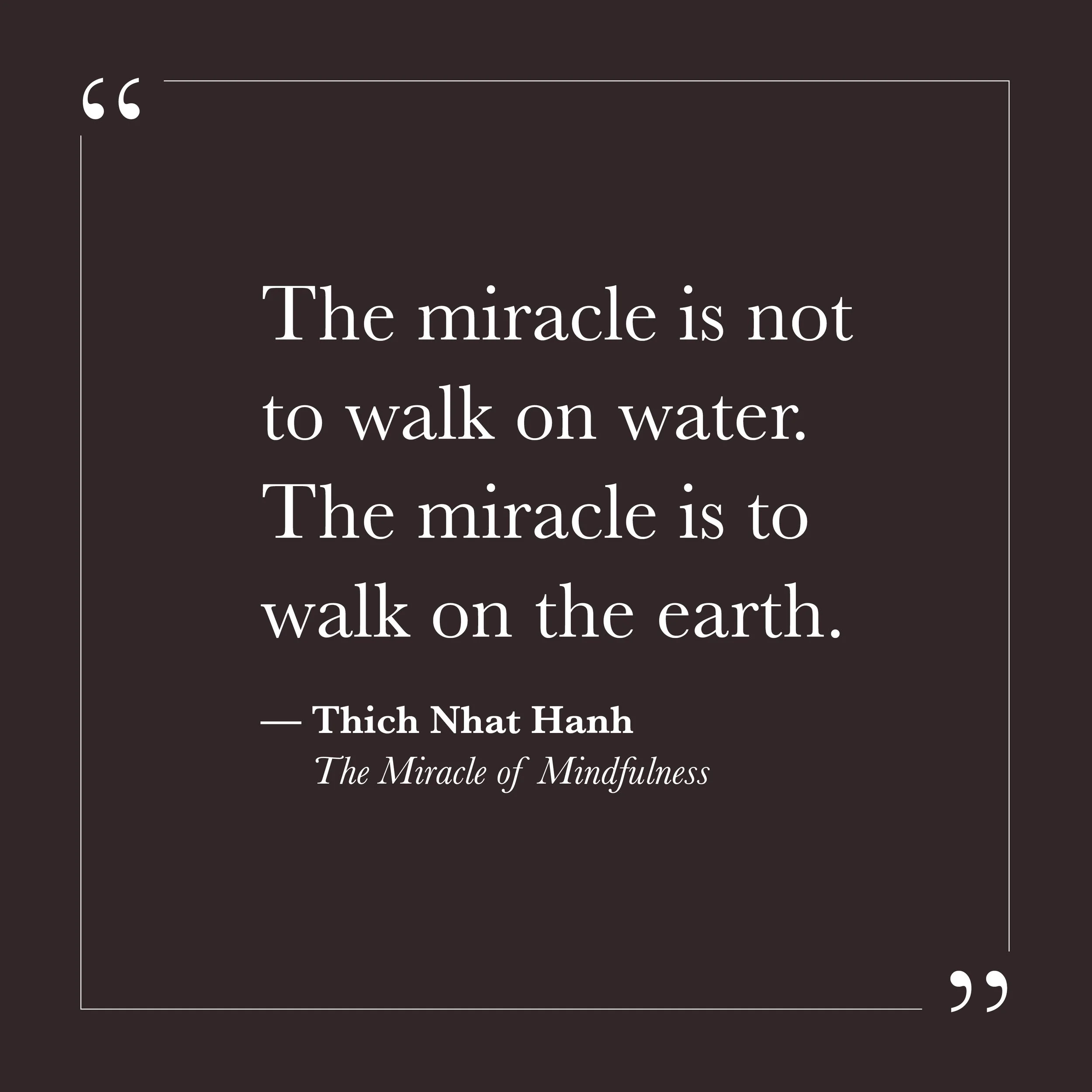       
  
    “The miracle is not to walk on water. The miracle is to walk on the earth.”  — Thich Nhat Hanh,  The Miracle of Mindfulness   Step Ten returns us to the ordinary. The ego often prefers dramatic transformation — a clear before and after,