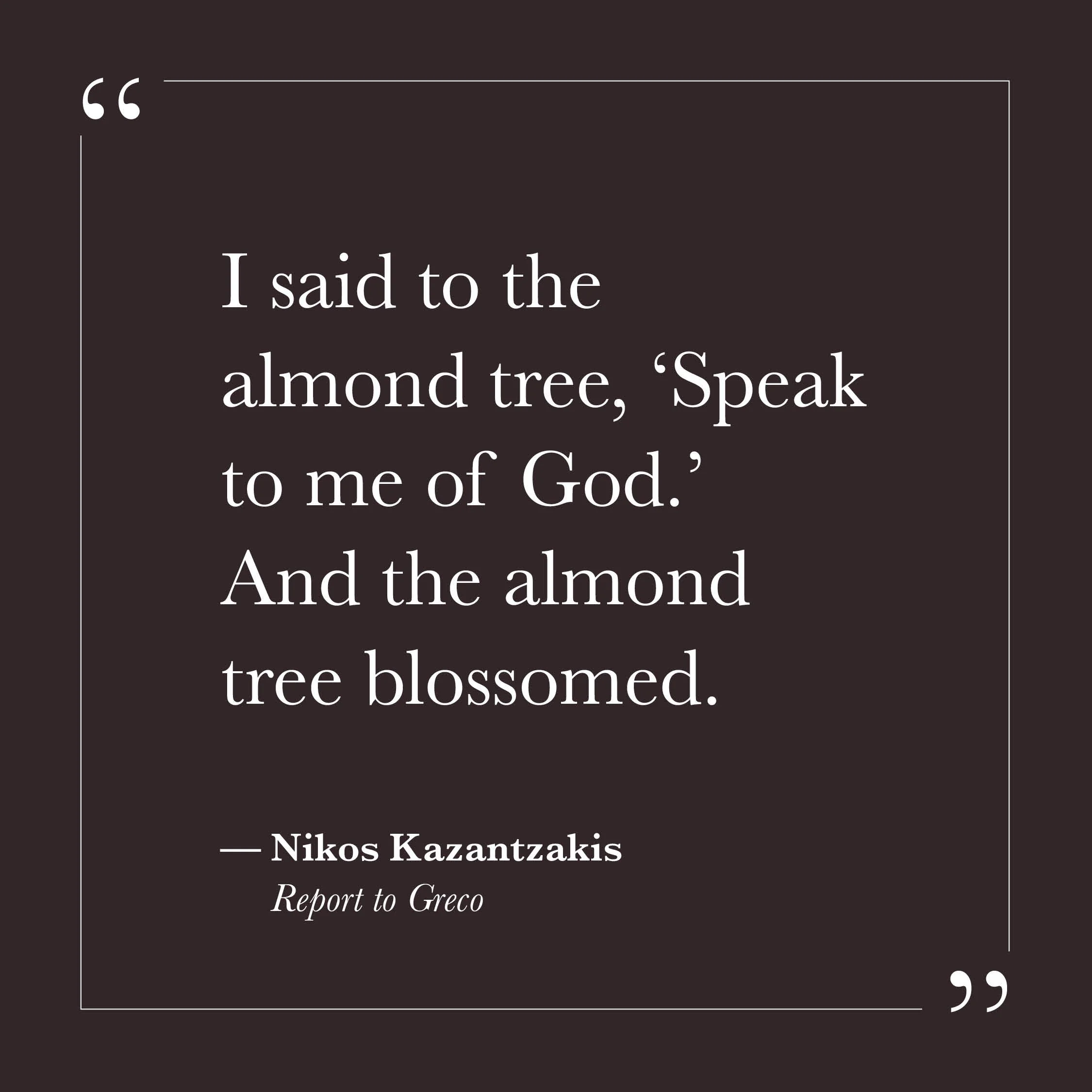       
  
    "I said to the almond tree, 'Speak to me of God.' And the almond tree blossomed."   — Nikos Kazantzakis, Report to Greco    The response in this image is not words. It is not explanation or argument. The tree simply does what it does—an