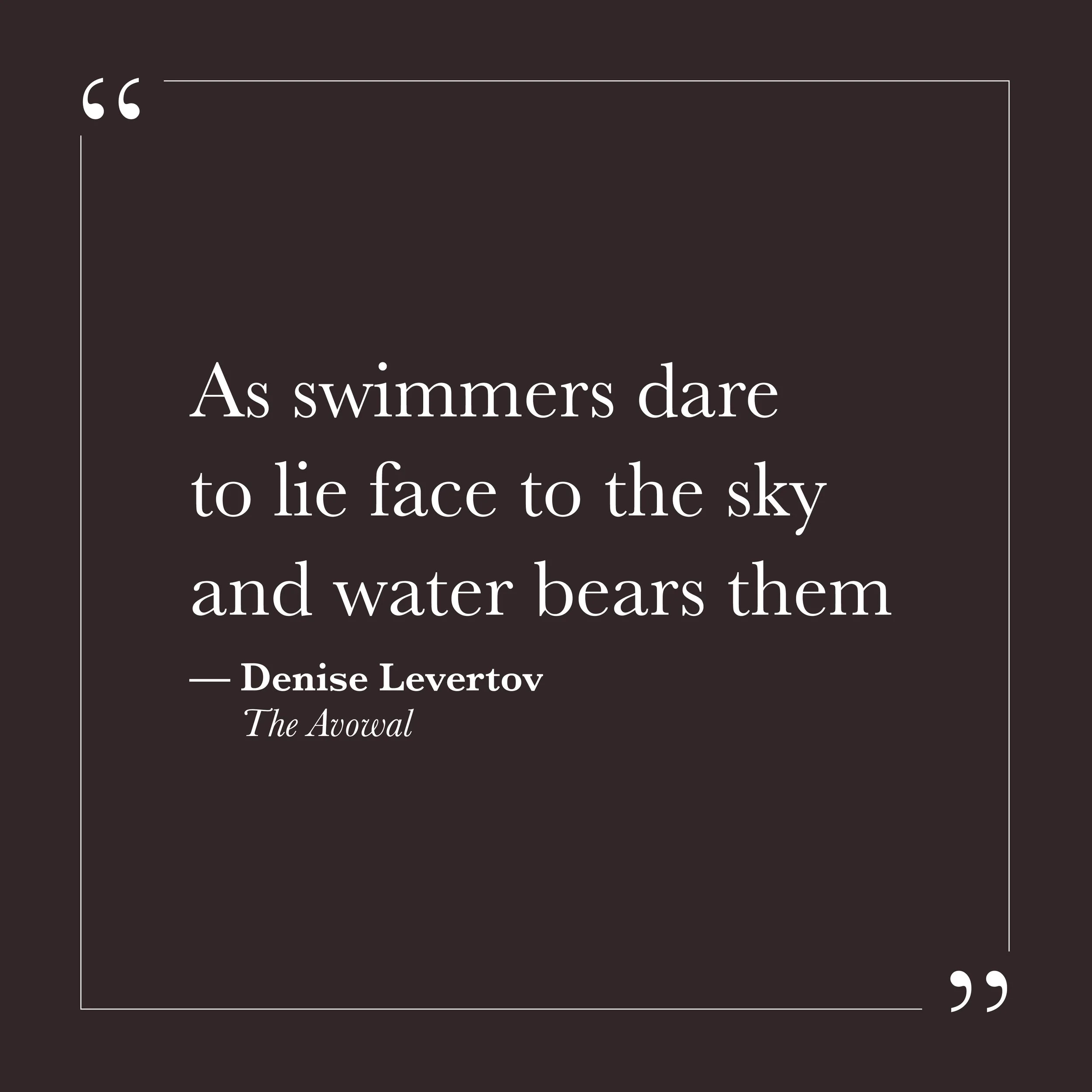       
  
    "As swimmers dare to lie face to the sky and water bears them"   —Denise Levertov,  The Avowal     Most of us were not taught to float. We were taught to keep moving—to stroke, to kick, to maintain effort so as not to sink. The idea tha