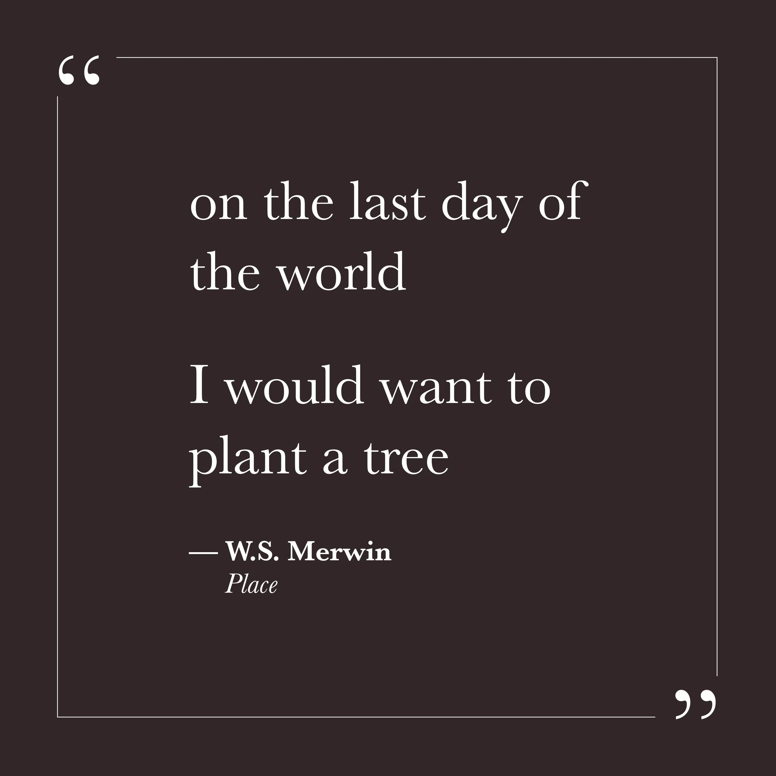       
  
    "on the last day of the world  I would want to plant a tree"   —W.S. Merwin, Place    Self-will tends toward the strategic. It asks whether an action will pay off, whether the investment will be worth it, whether what we are doing will 