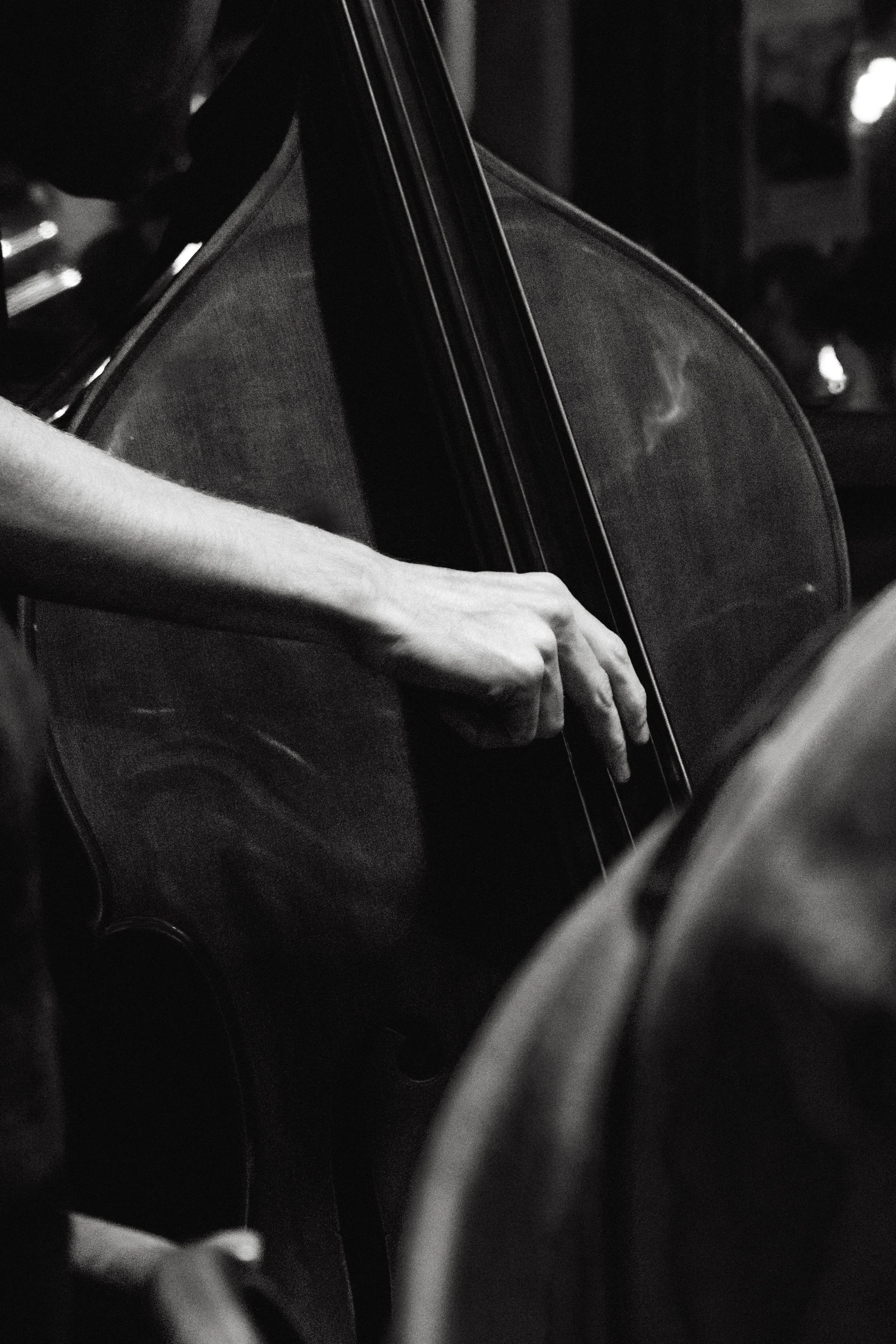 scene en marge - photographie de concert