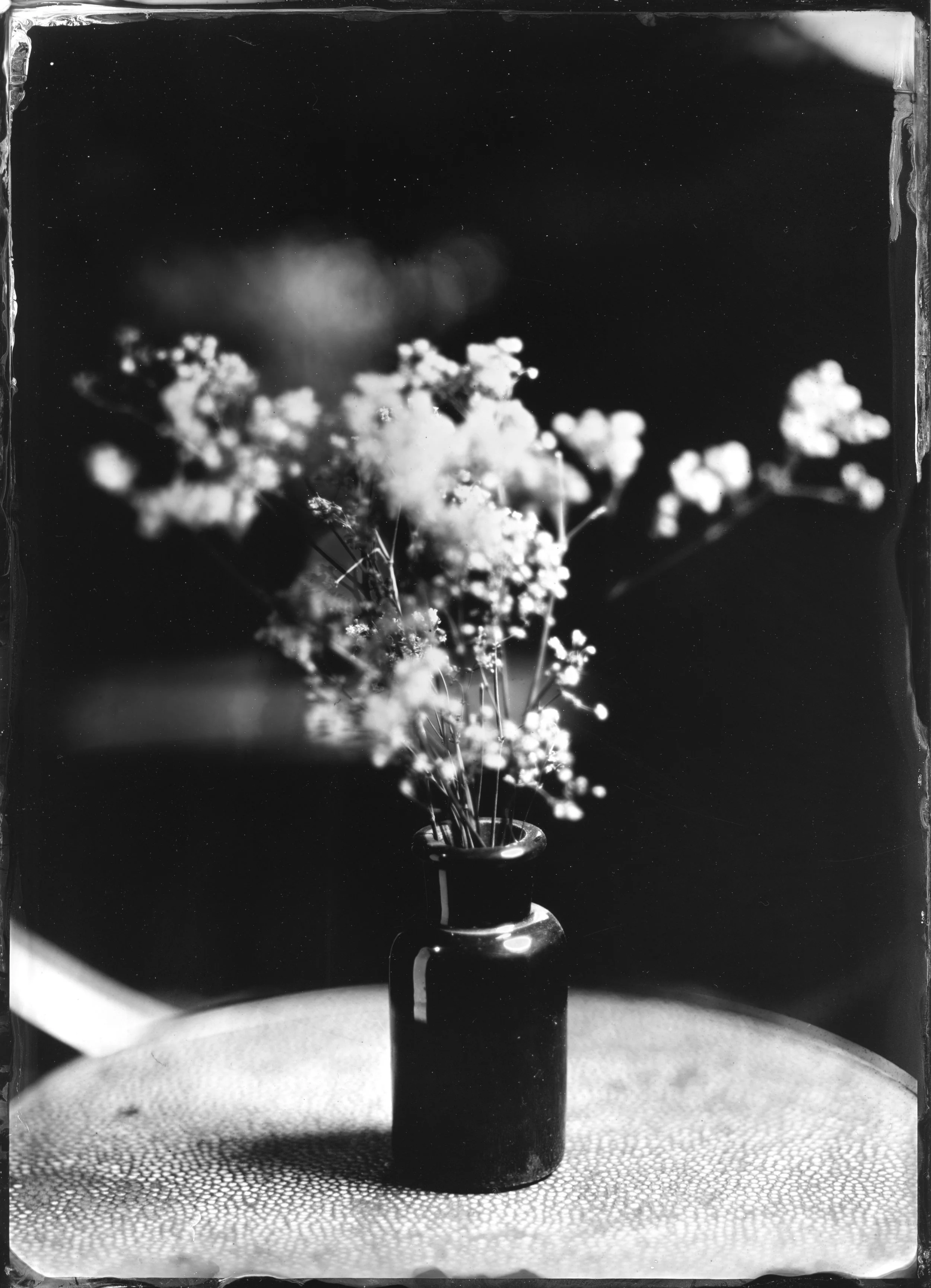 Studio - Photographie réalisée au collodion humide