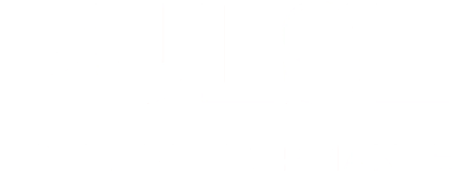 Pulse - Hotel Performance