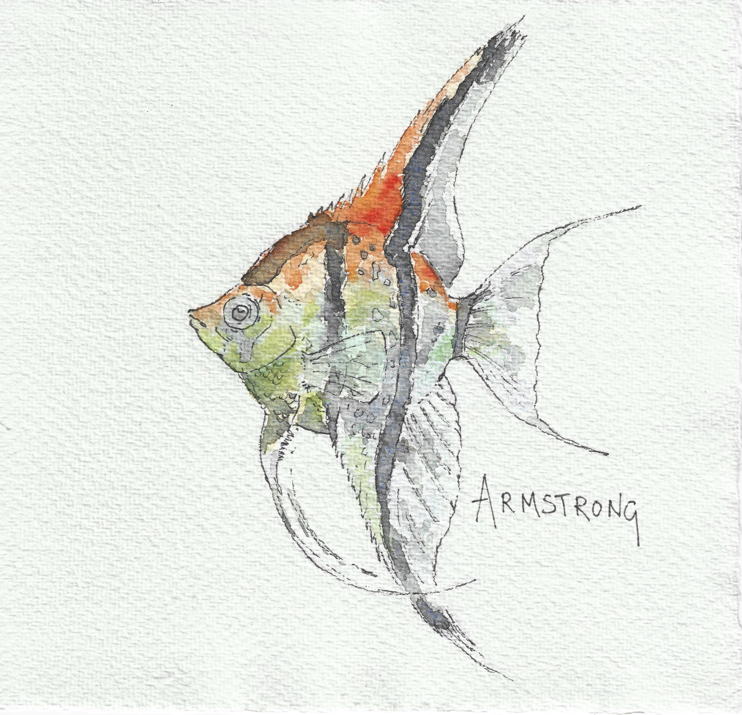 angel fish 15x15cm.jpeg