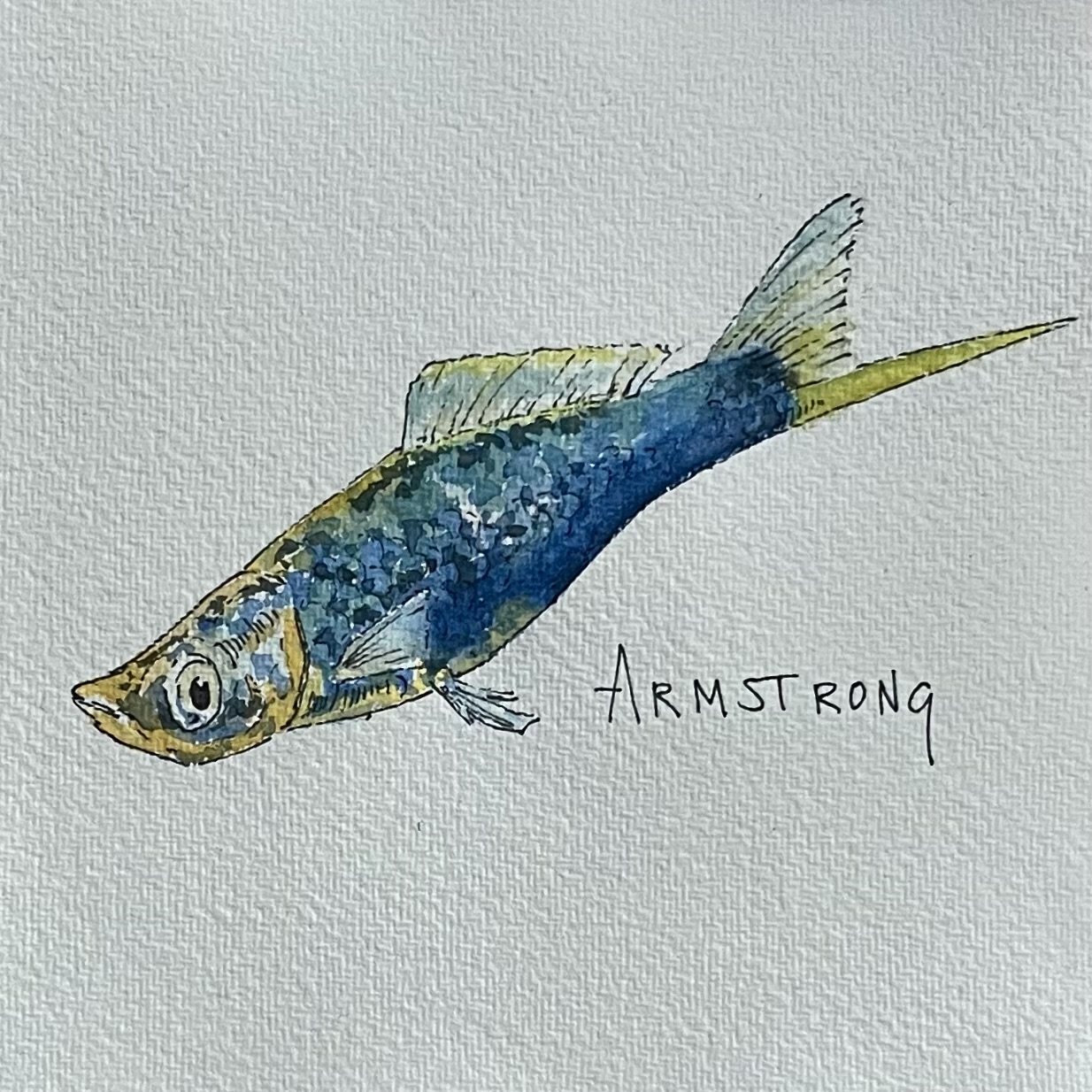 A colorful watercolor illustration of a fish with the word "Armstrong" written next to it.