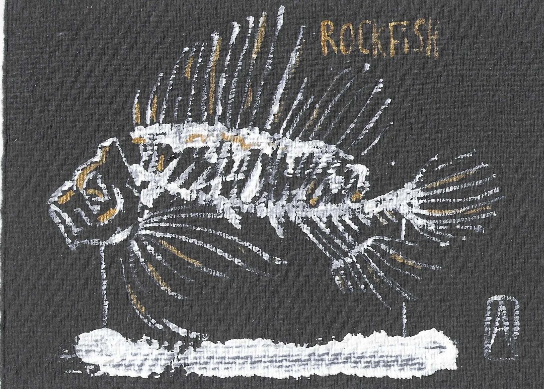 Rockfish+specimen.jpg