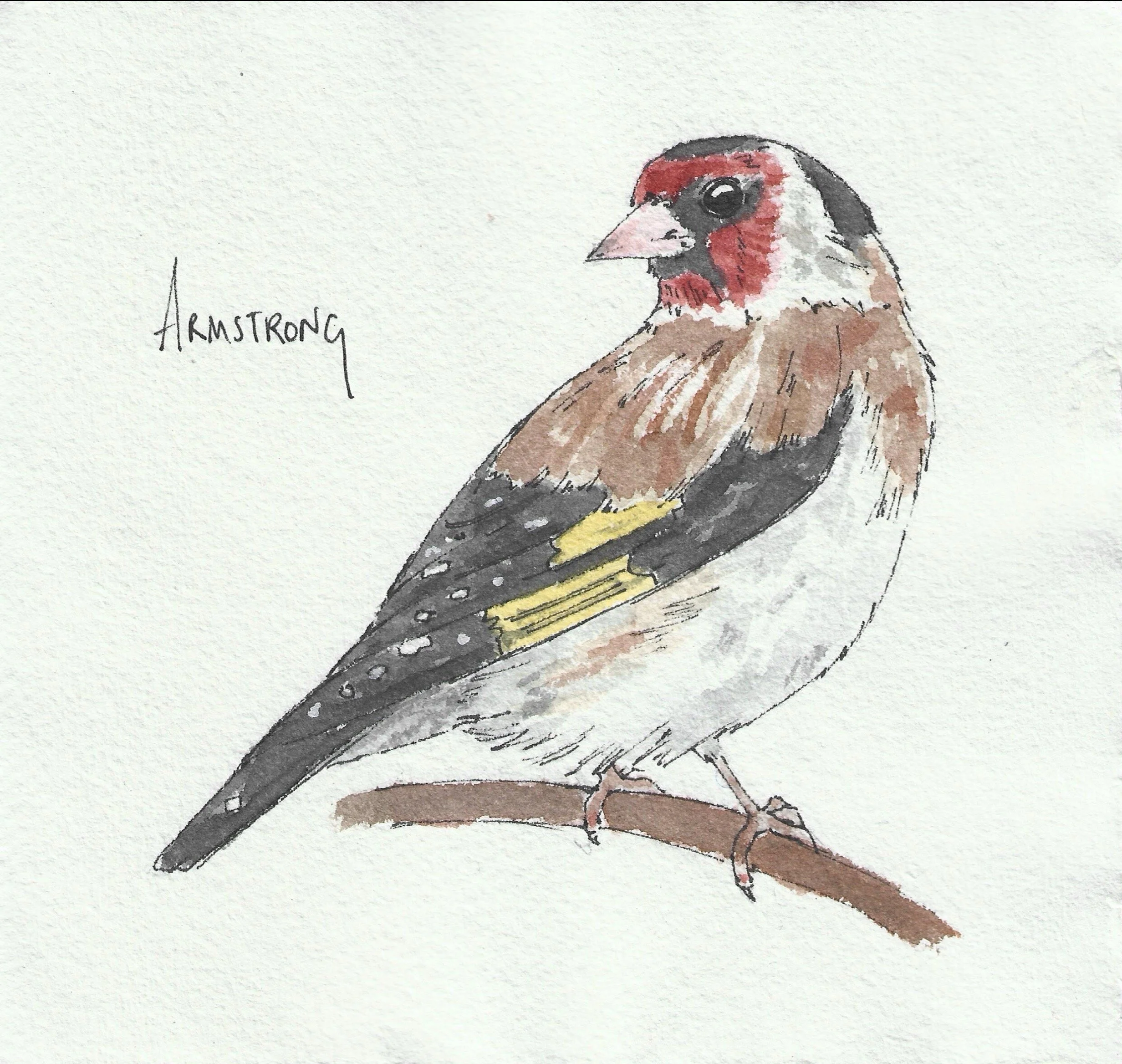 Goldfinch (15cm x 15cm)