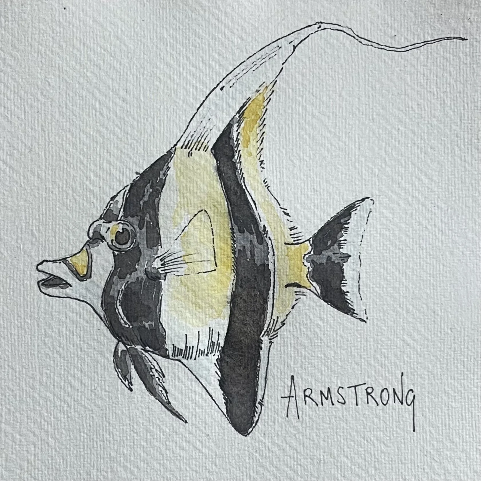 A colored illustration of a fish, labeled 'Armstrong,' with black and yellow markings, a prominent eye, and fins, drawn on textured paper.
