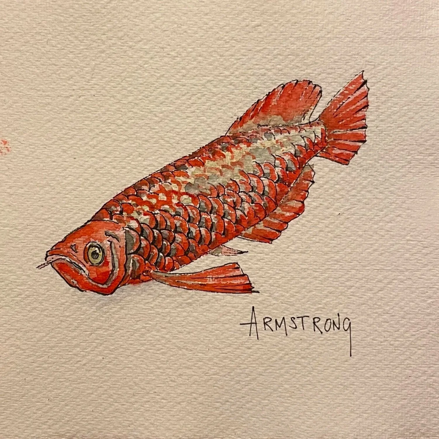 arowana.+1.jpg