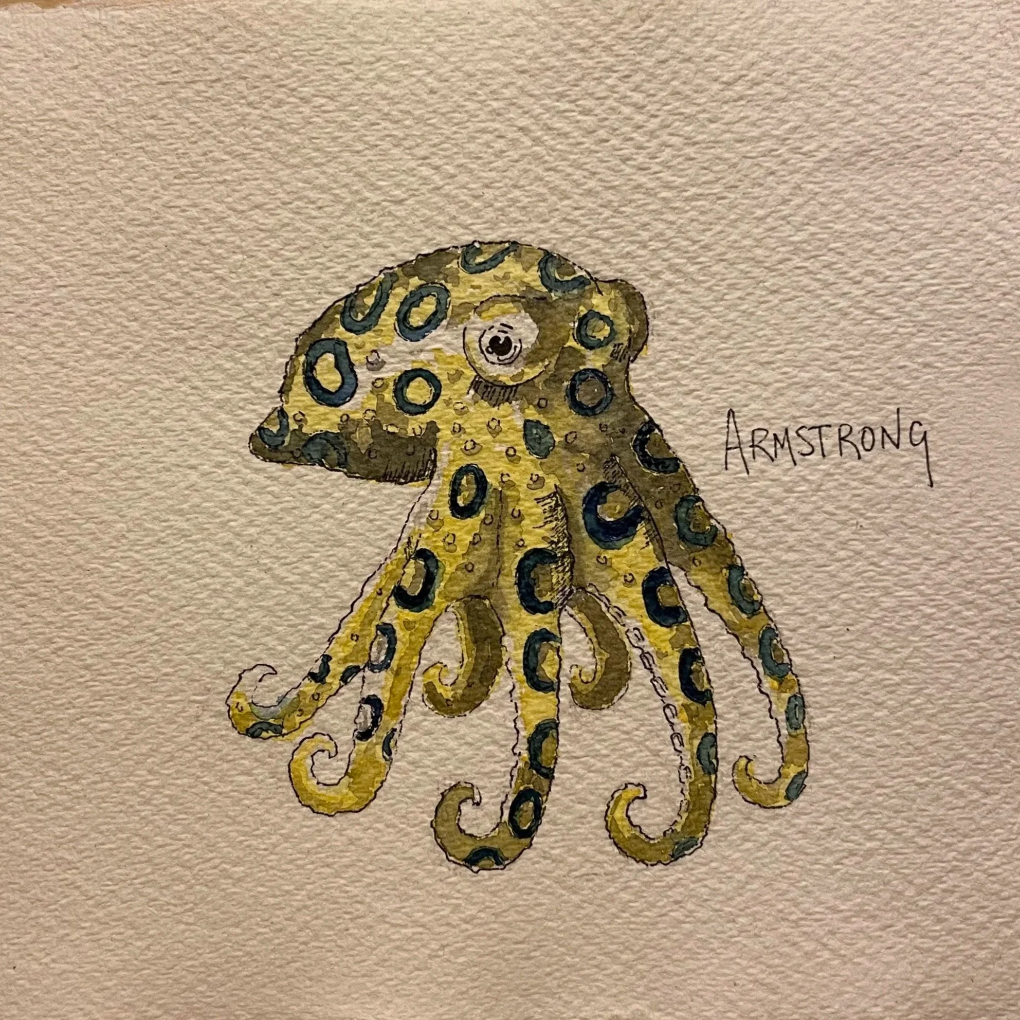 blue+ringed+octo+1.jpg