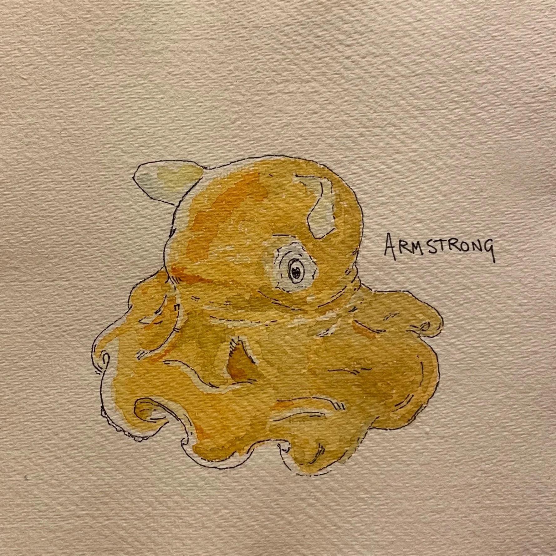 flapjack+octo.jpg