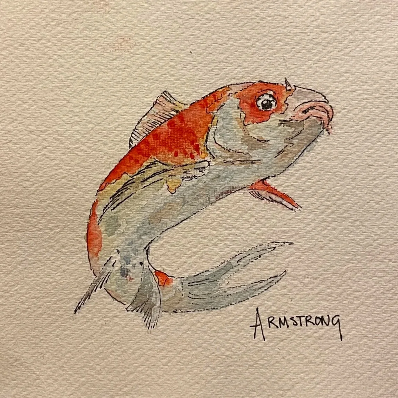 koi+1.jpg