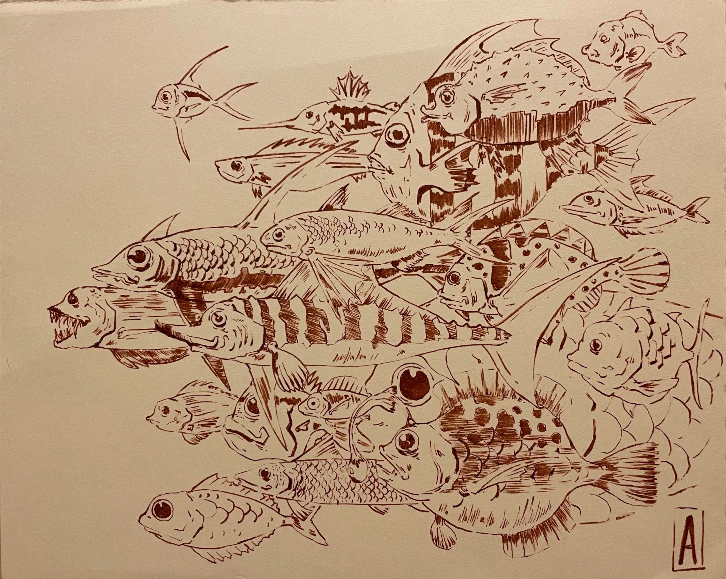 school+of+fish+1.jpg