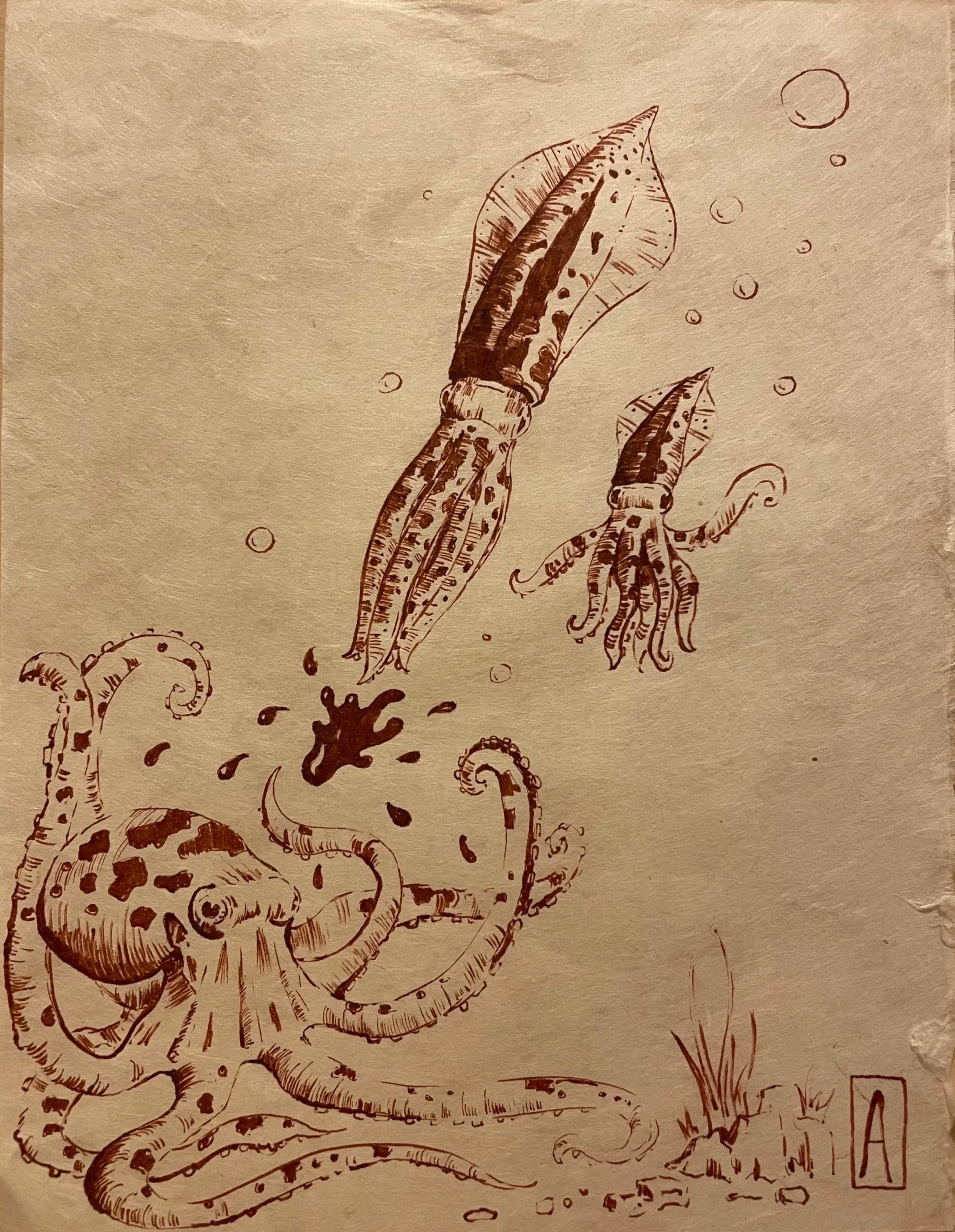 squid+attack+1.jpg