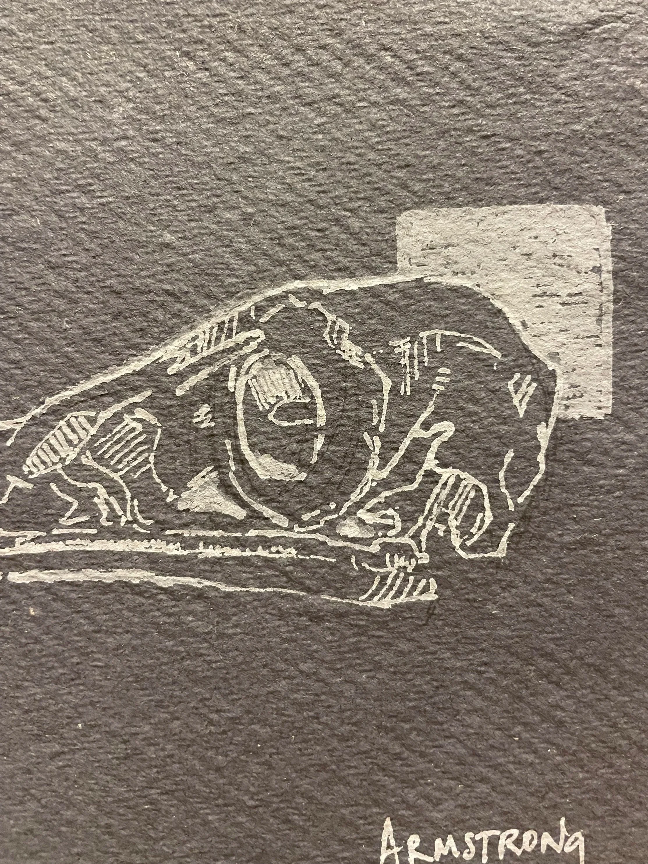 hawk+skull+2.jpg