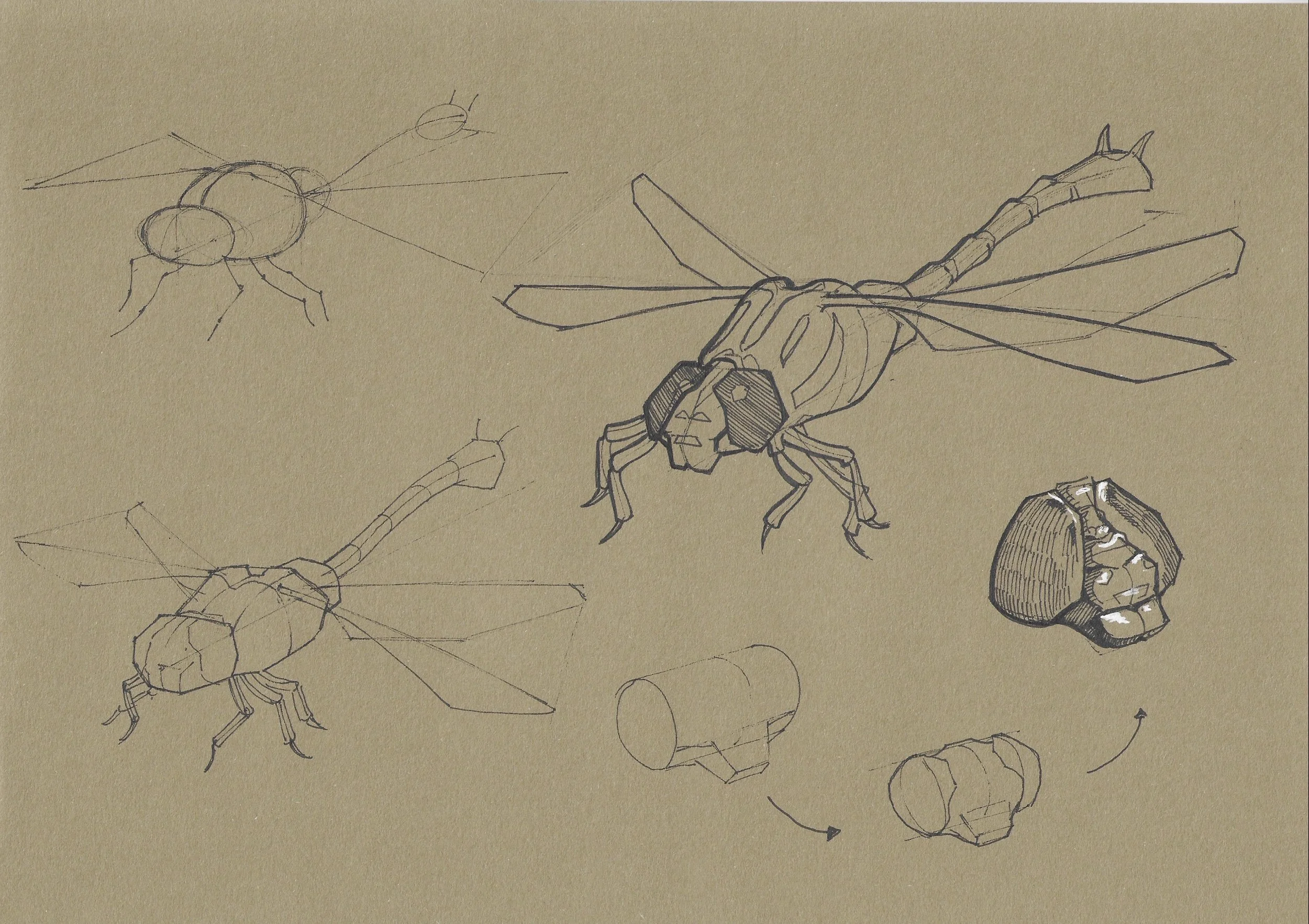 Dynamic sketching week 3 _7.jpg