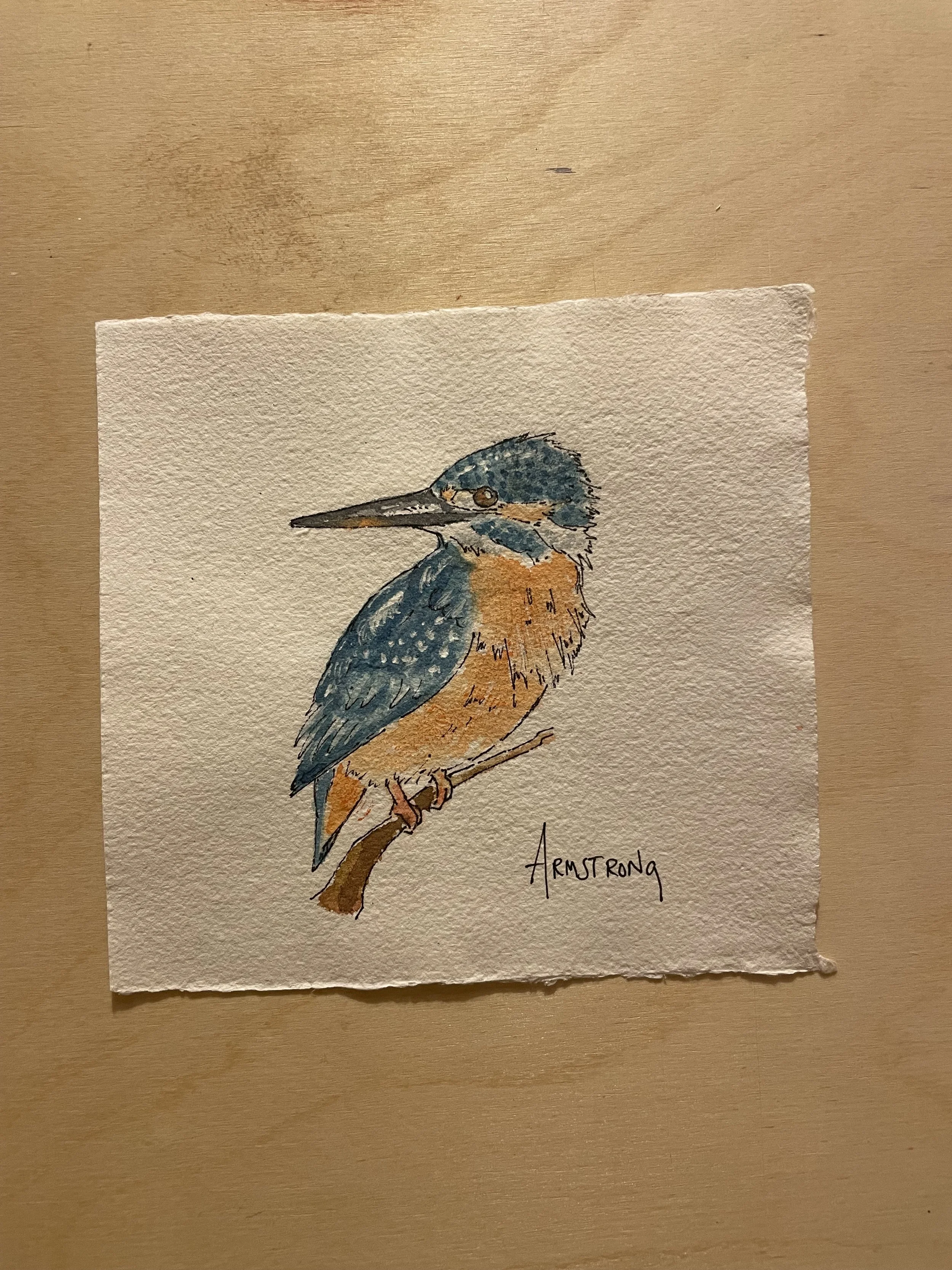 king fisher 1.jpeg