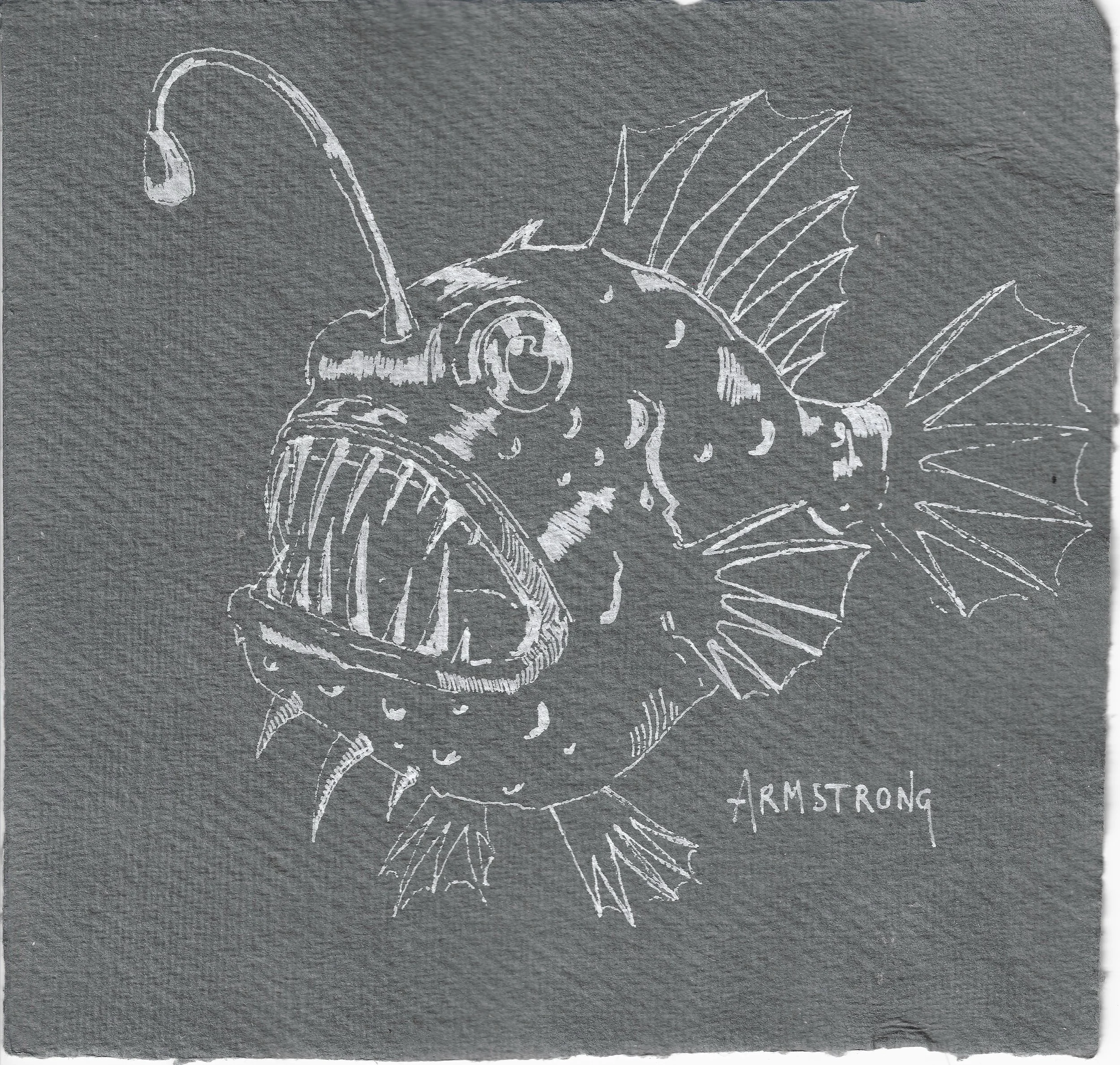 angler fish 15x15cm.jpeg