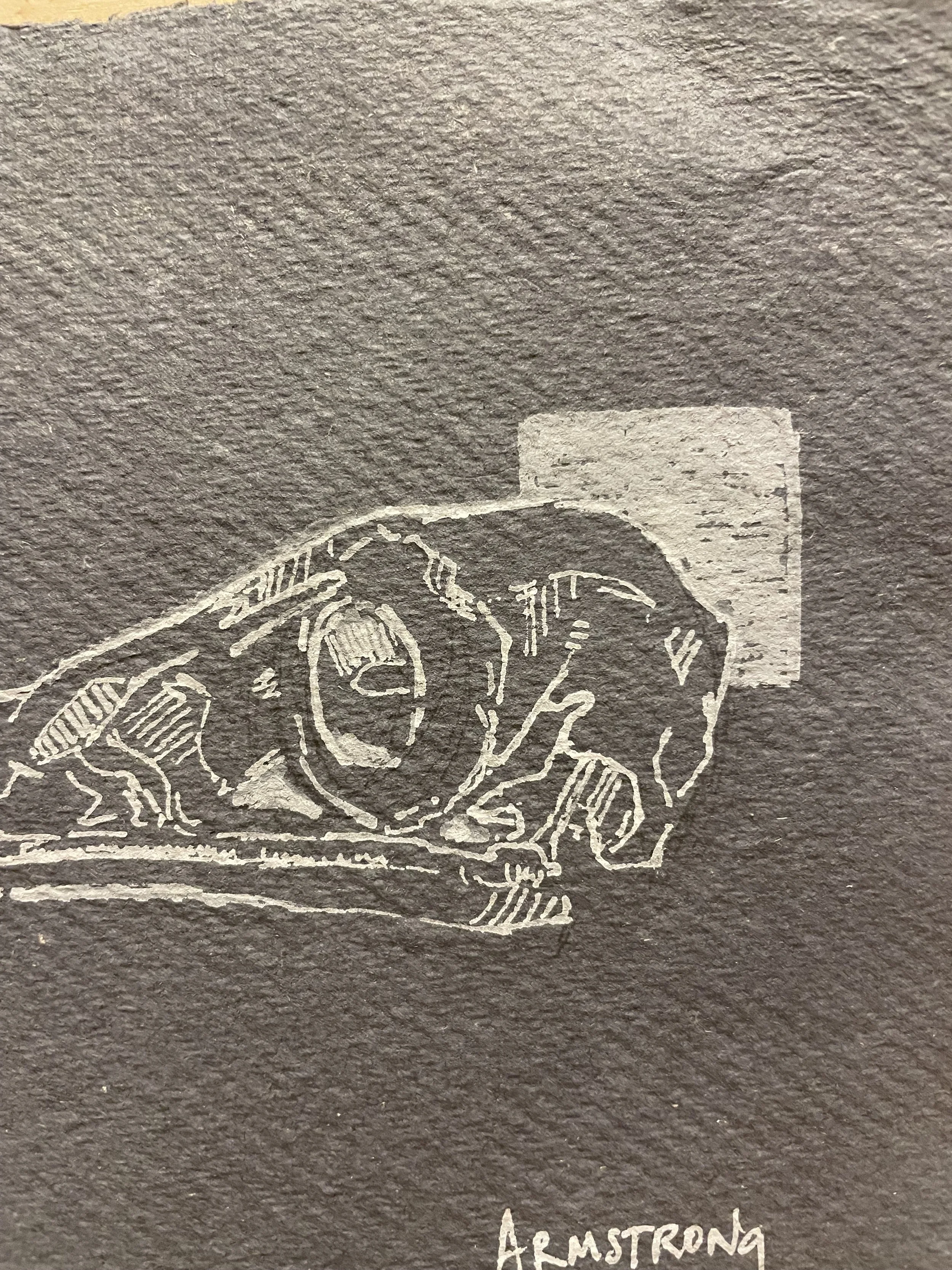 hawk skull 2.jpeg
