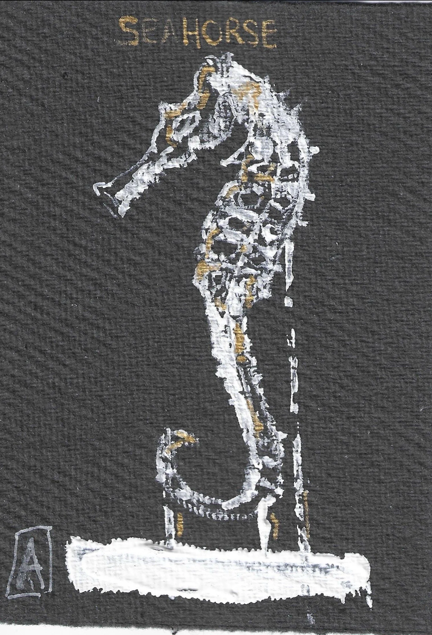 seahorse specimen.jpg