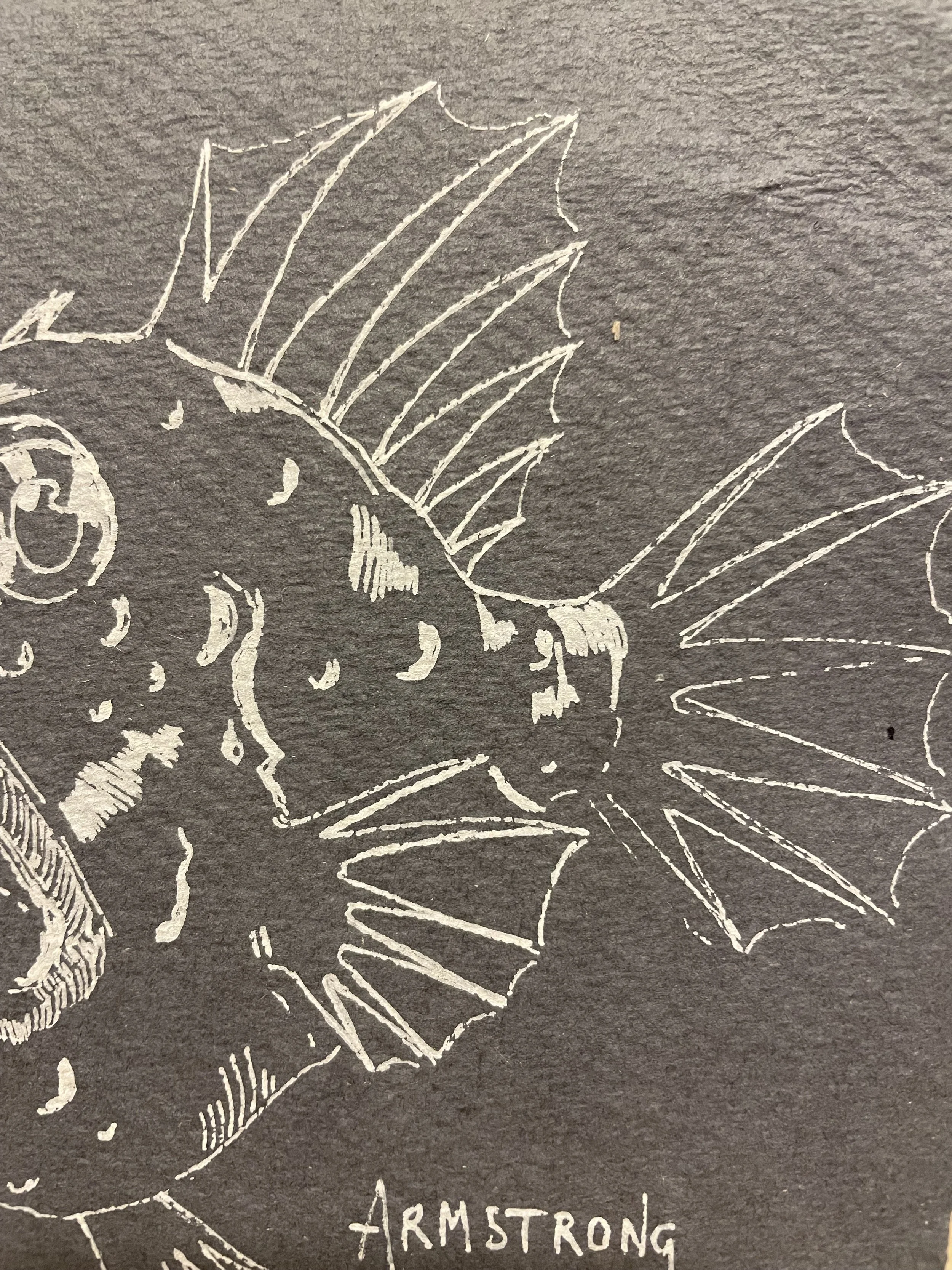 angler fish 4.jpeg