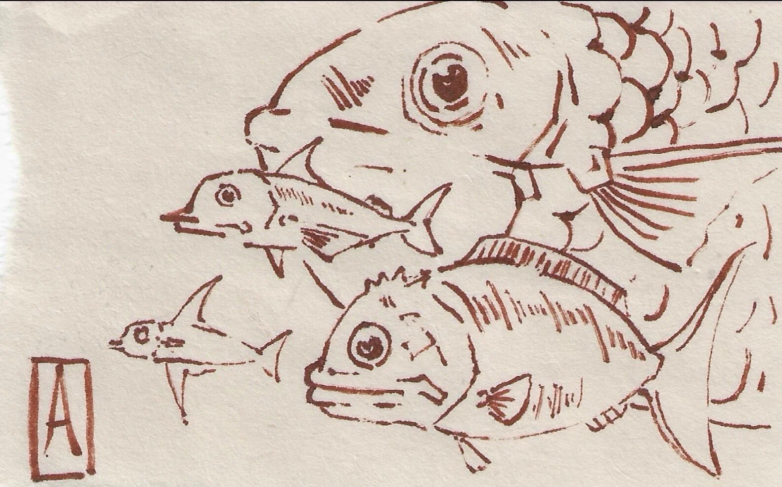 Group of tiny fish drawing