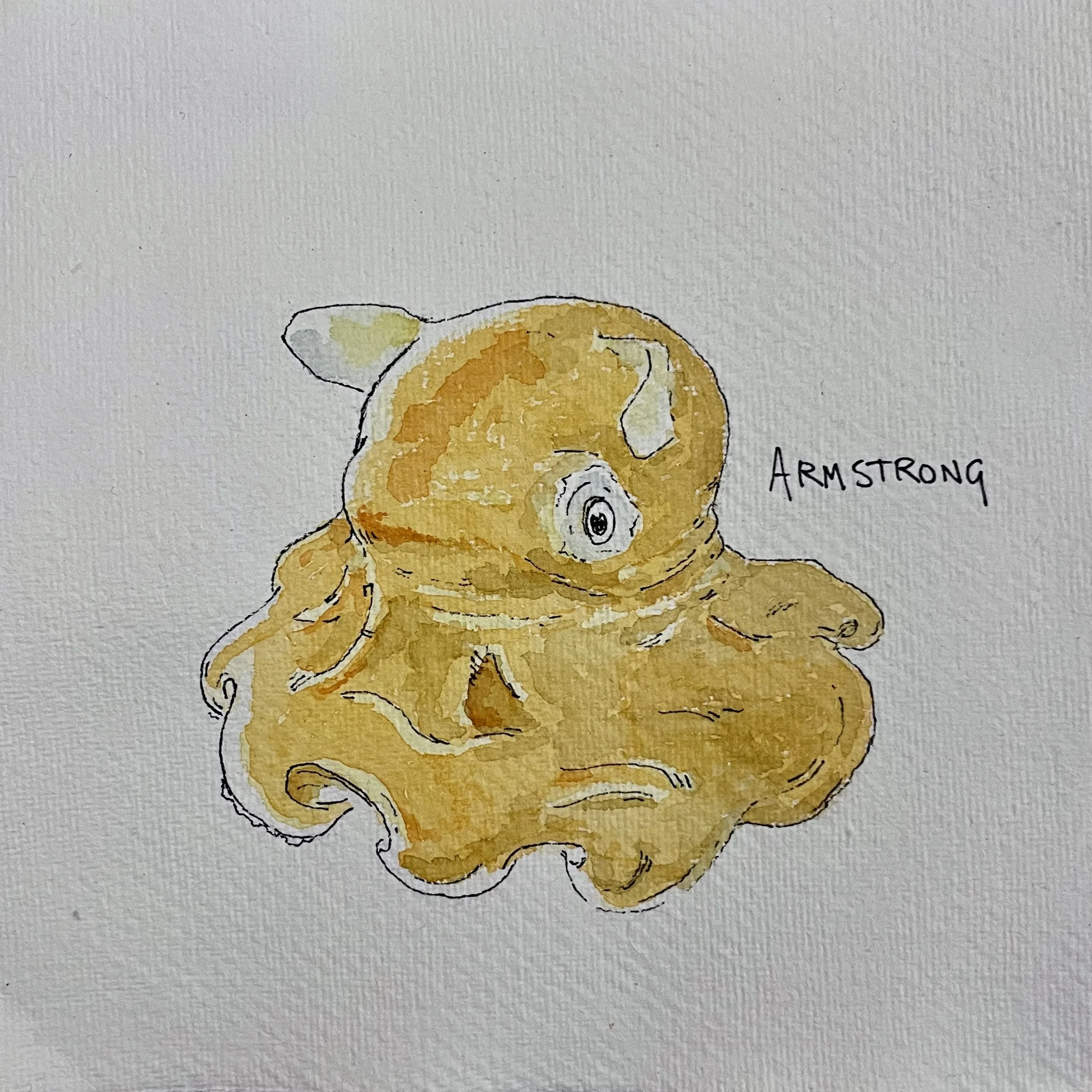 A watercolor illustration of a yellowish, textured creature with a rounded face, big eye, and tentacle-like appendages, labeled 'ARMSTRONG'.