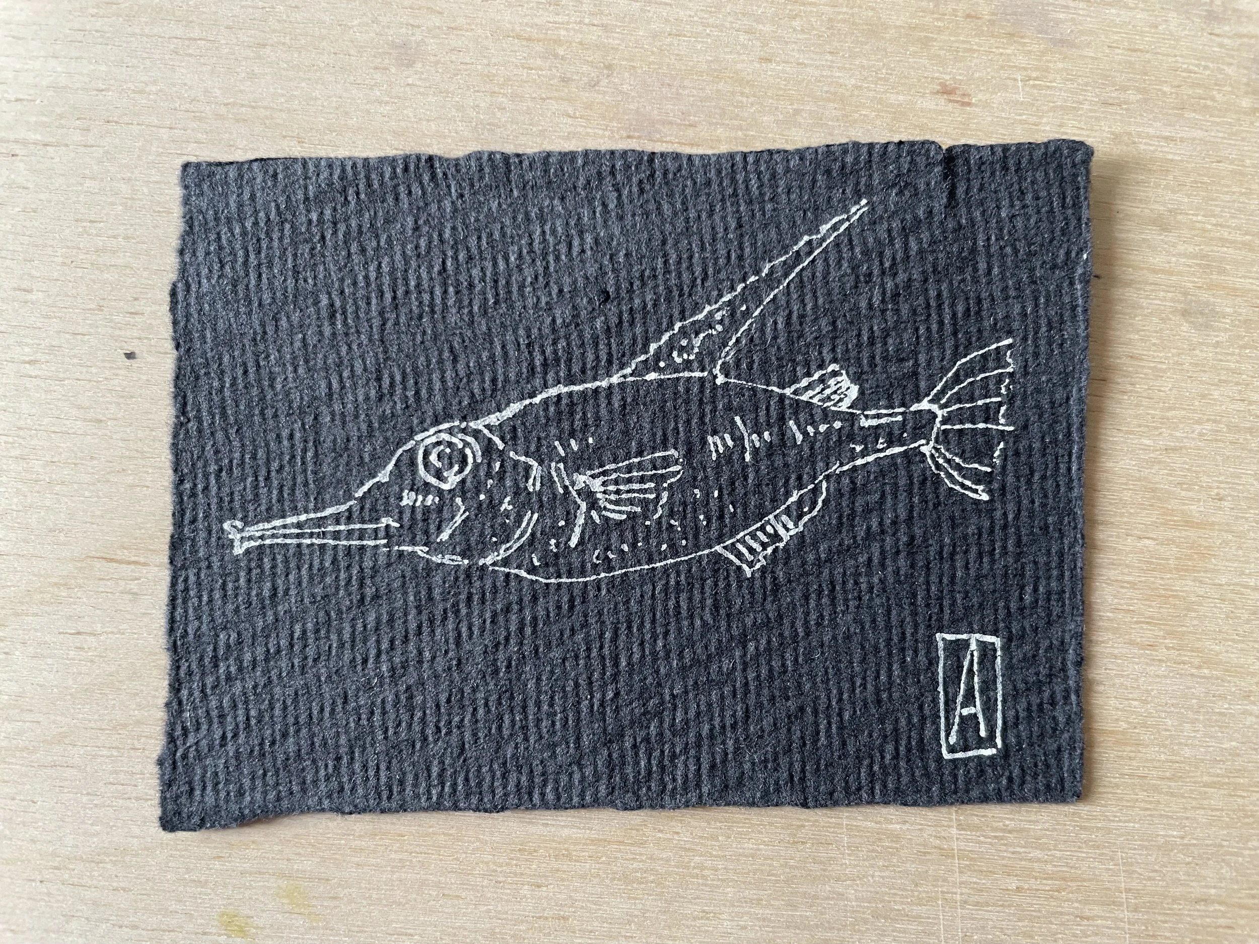 Long snout fish drawing