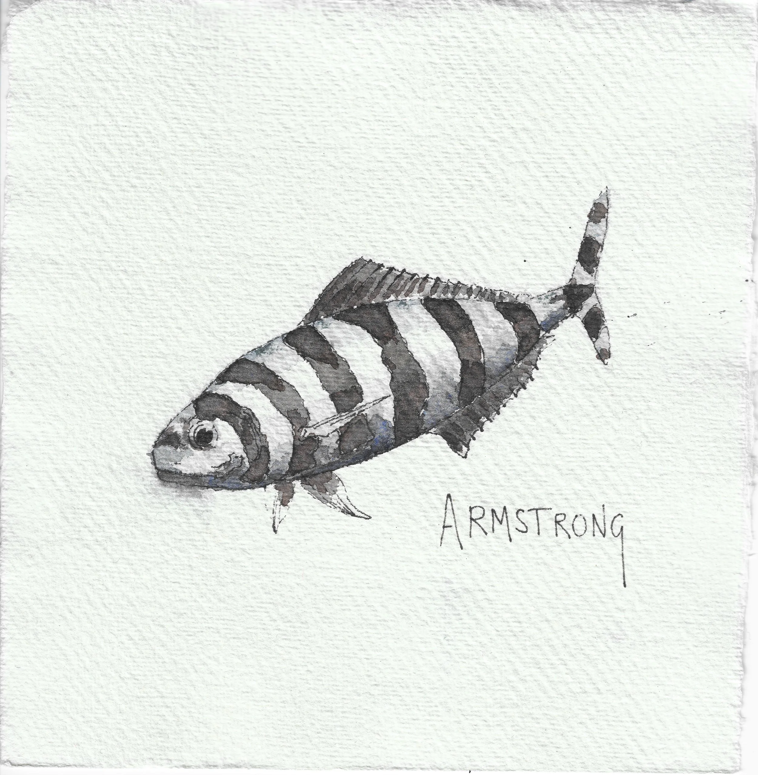 pilot fish 15x15cm.jpeg