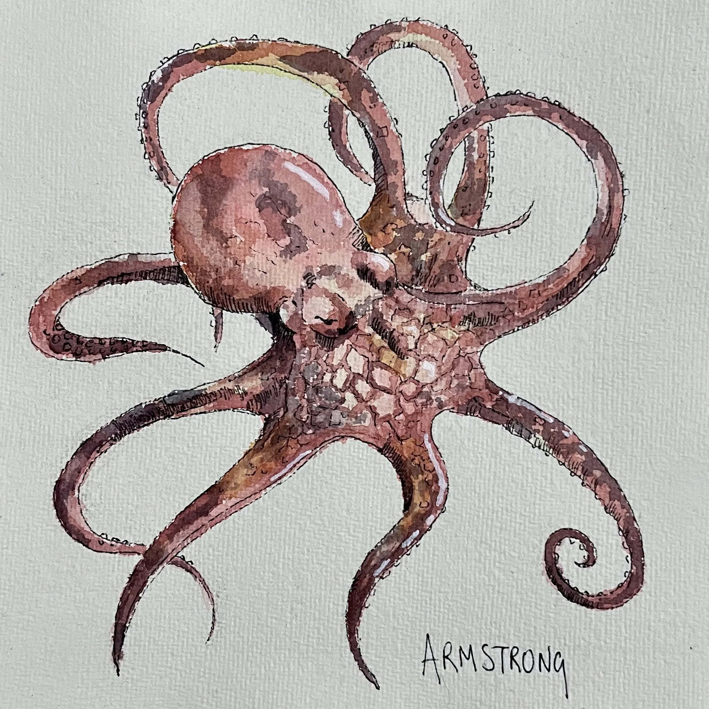 Watercolor painting of an octopus with a smiling face, with eight tentacles curling outward. The artist's signature, Armstrong, is at the bottom.