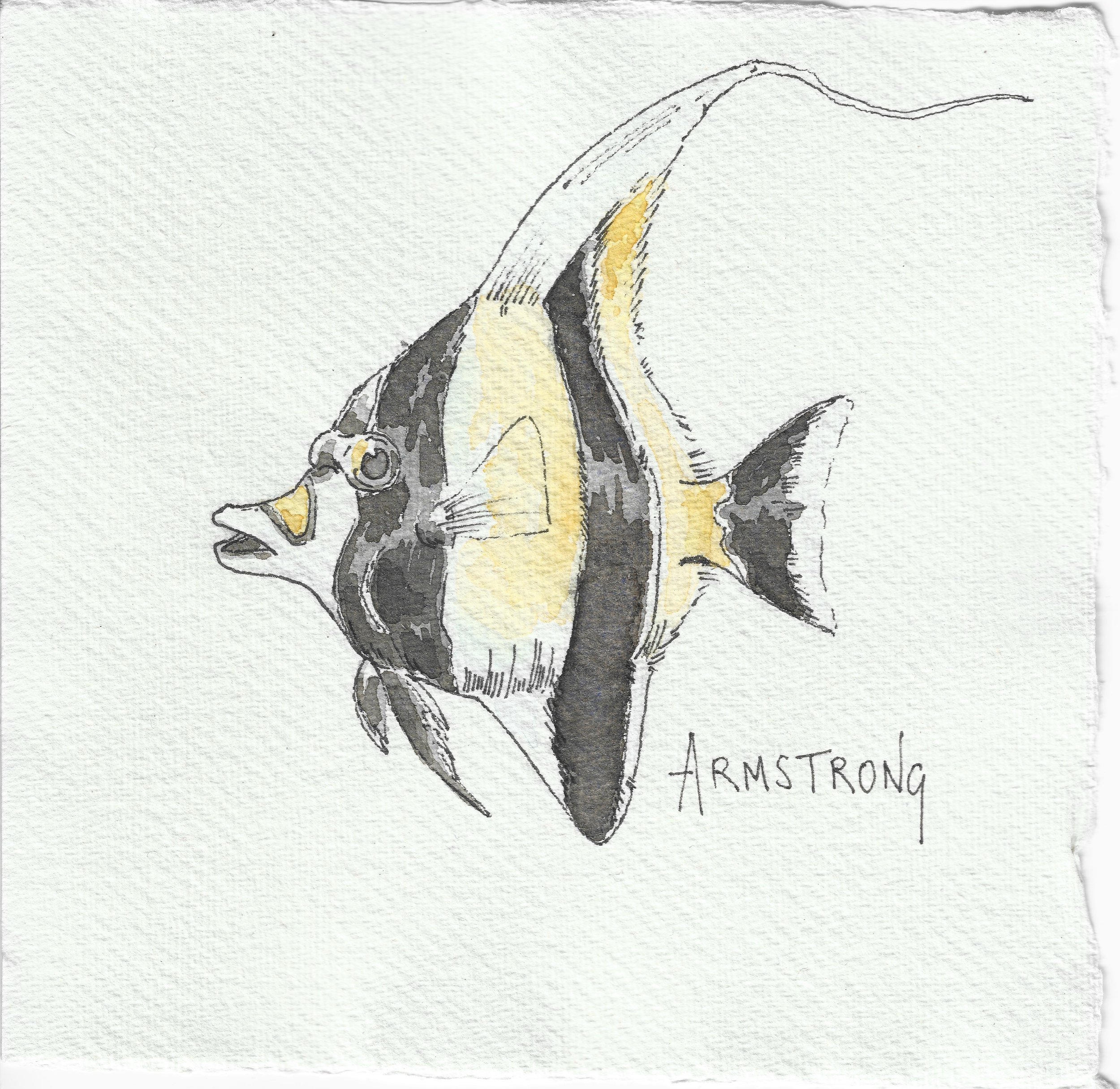 moorish idol 15x15cm.jpeg