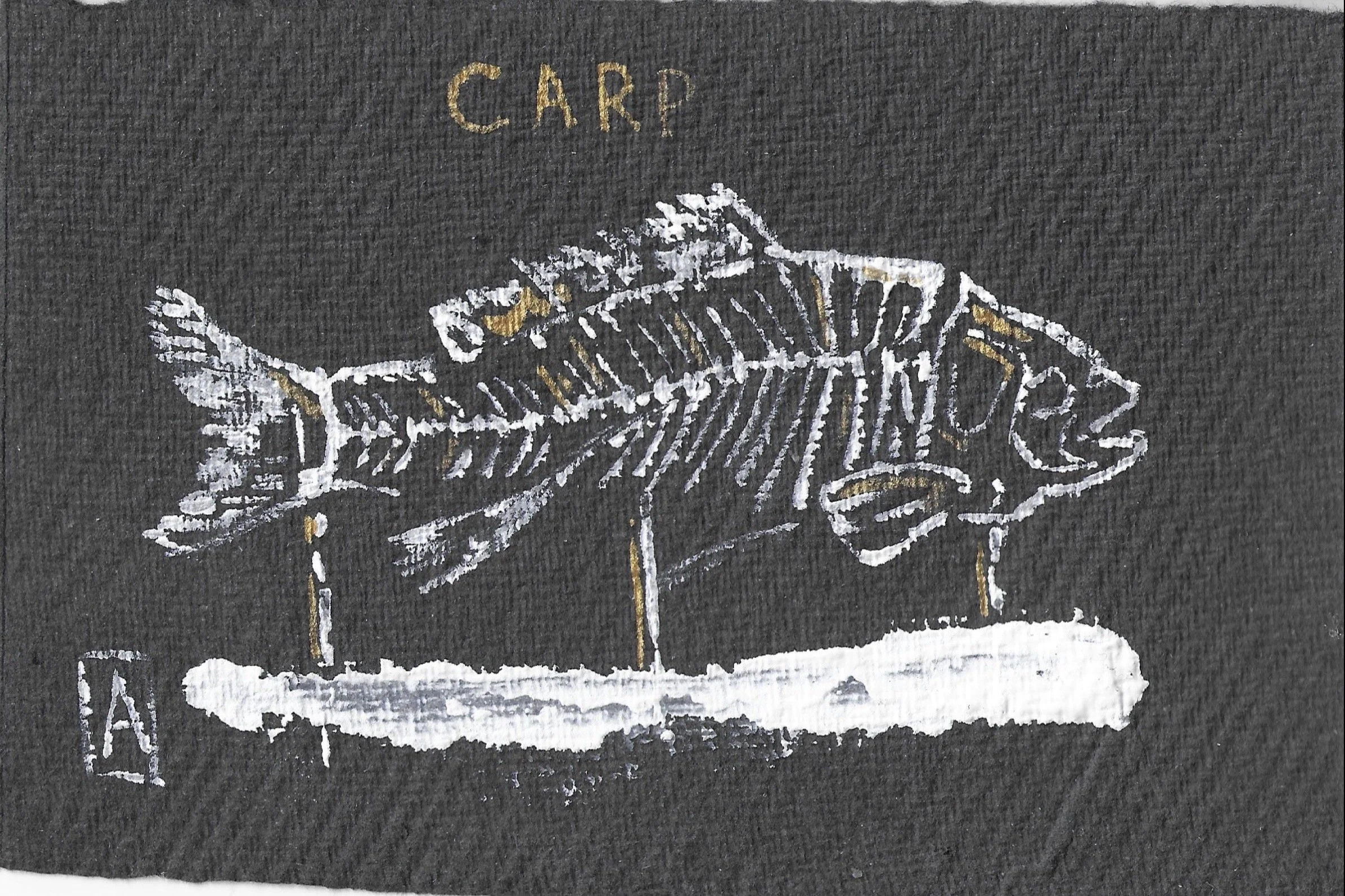 Carp specimen.jpg