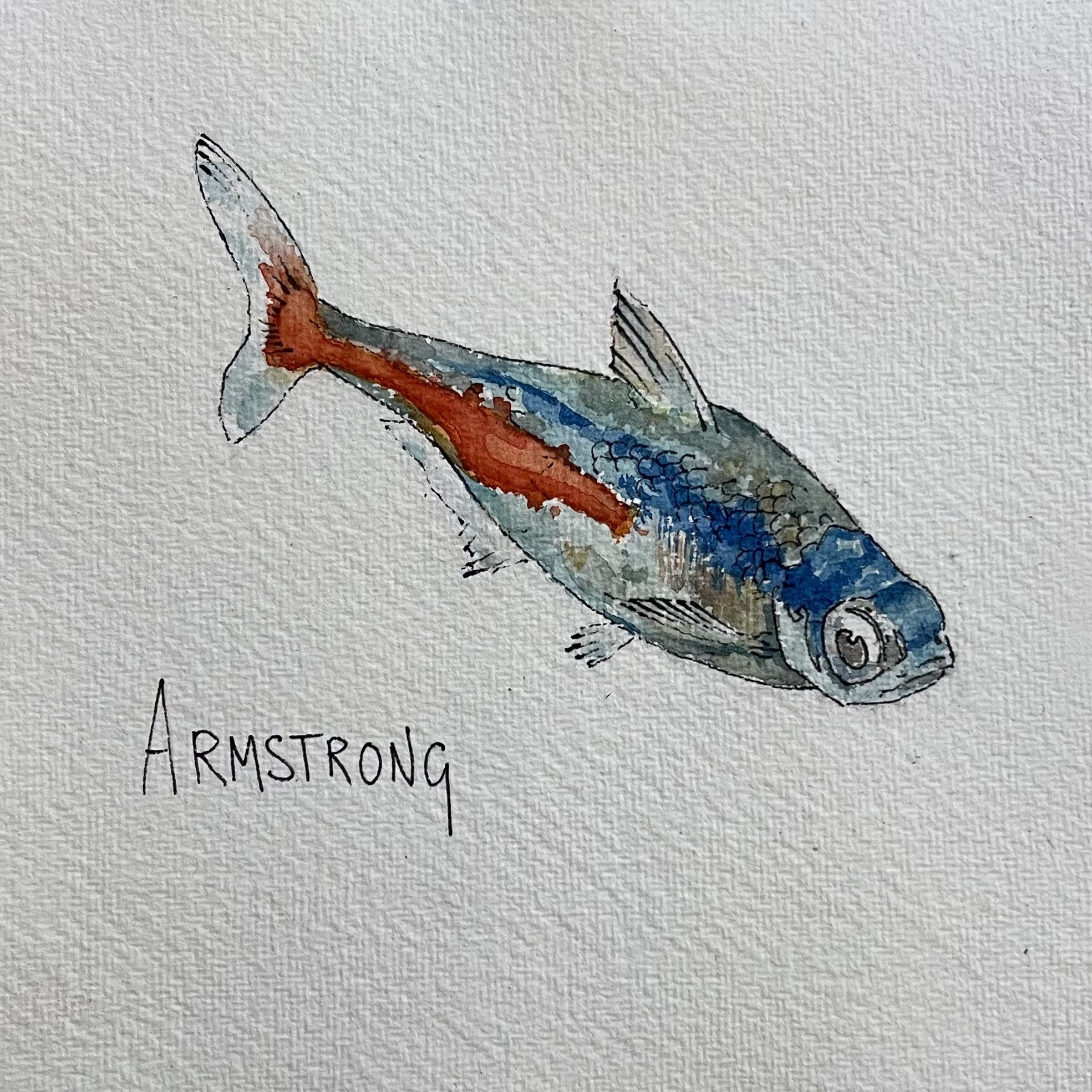 A watercolor painting of a fish with the name 'Armstrong' written below it.