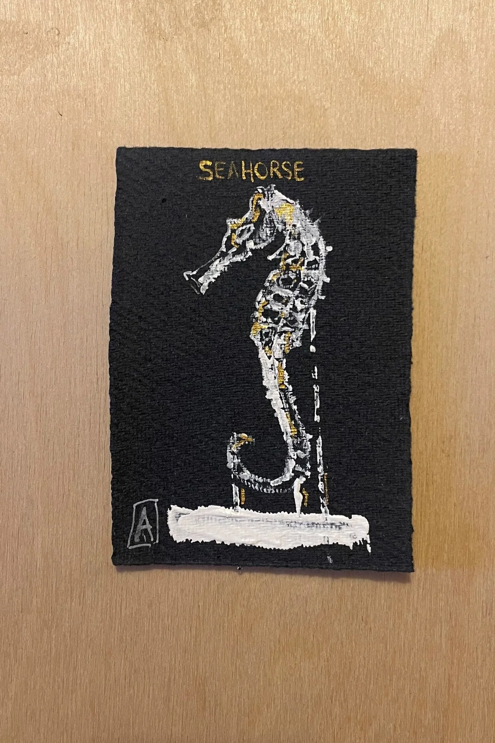 Seahorse specimen