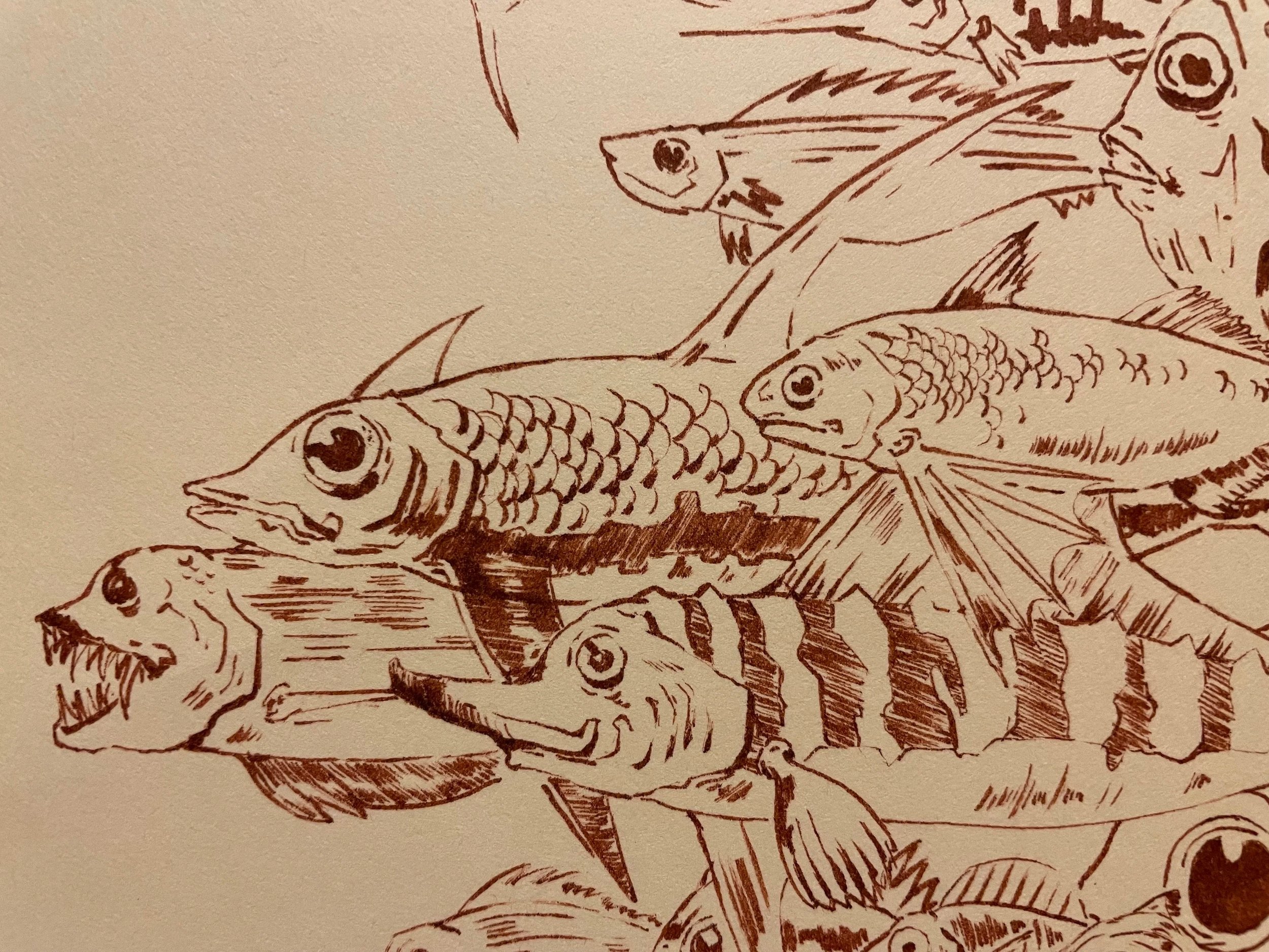 school+of+fish+2.jpg