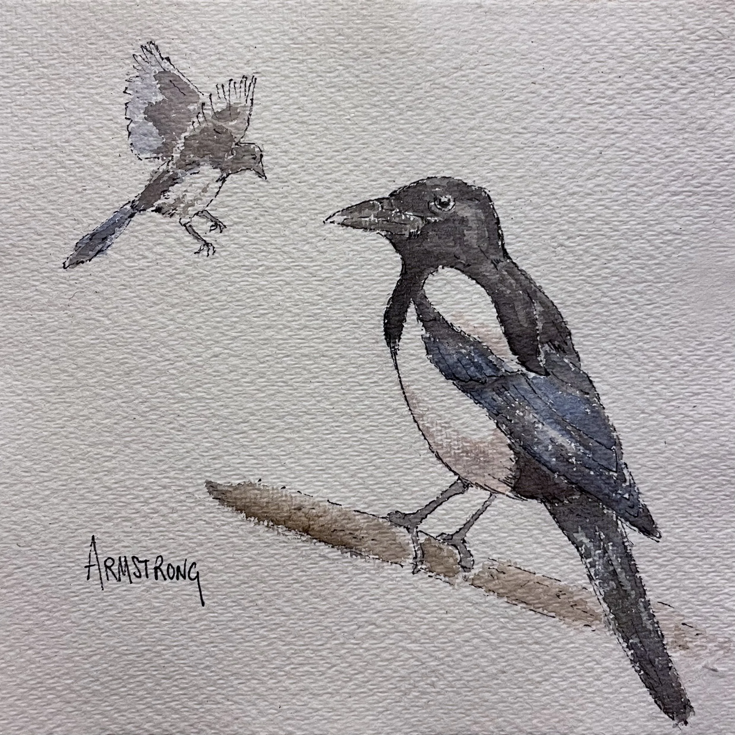 Watercolor painting of a bird perched on a branch and another bird flying nearby, labeled 'Armstrong.'